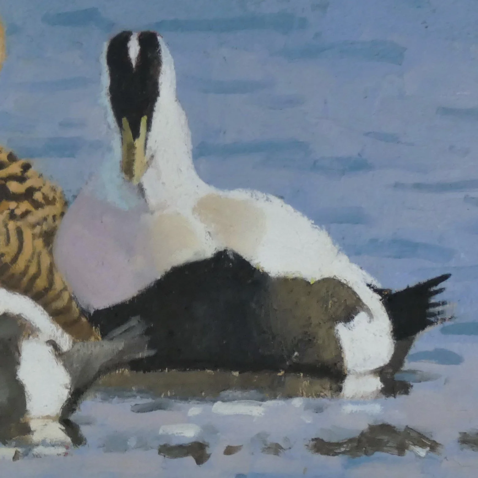 P1280917_edited.jpg c.jpg