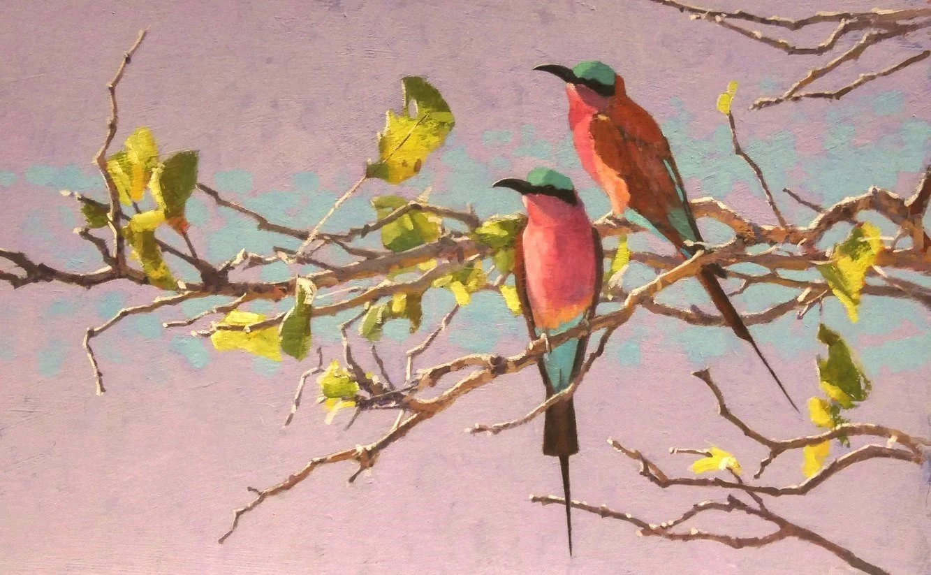 Carmine Bee Eaters - John Threlfall.jpg