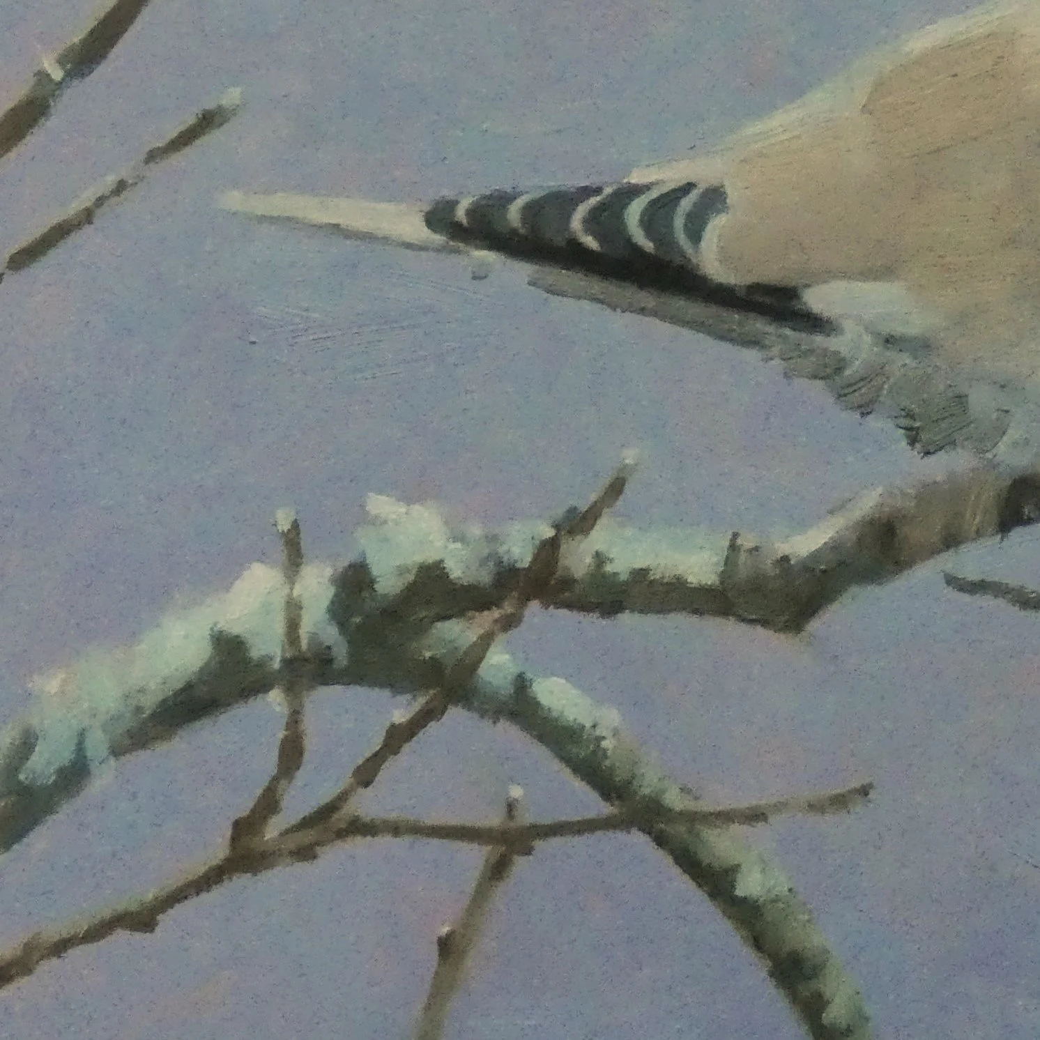 P1290098 c.jpg