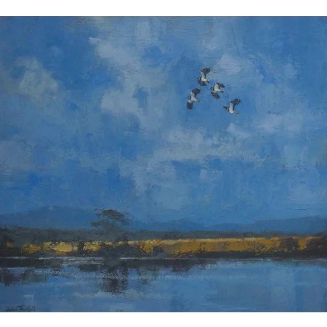 Lapwing Flight