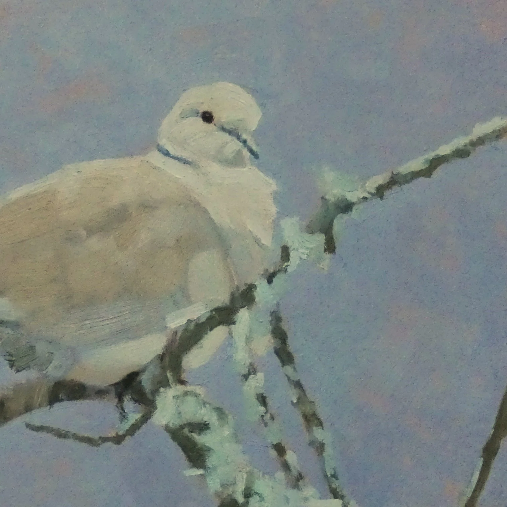 P1290098 b.jpg