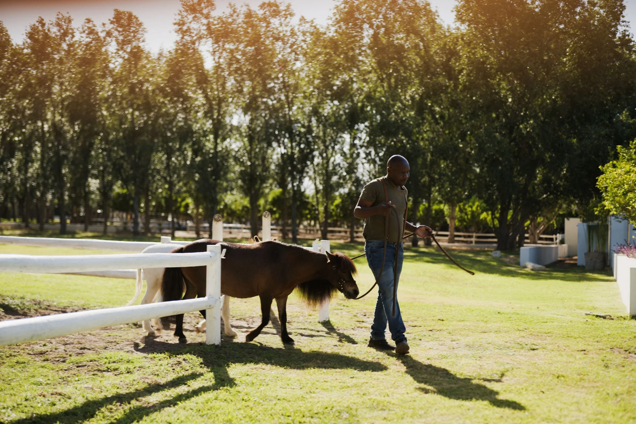 THE BOTANICAL  20269.jpg