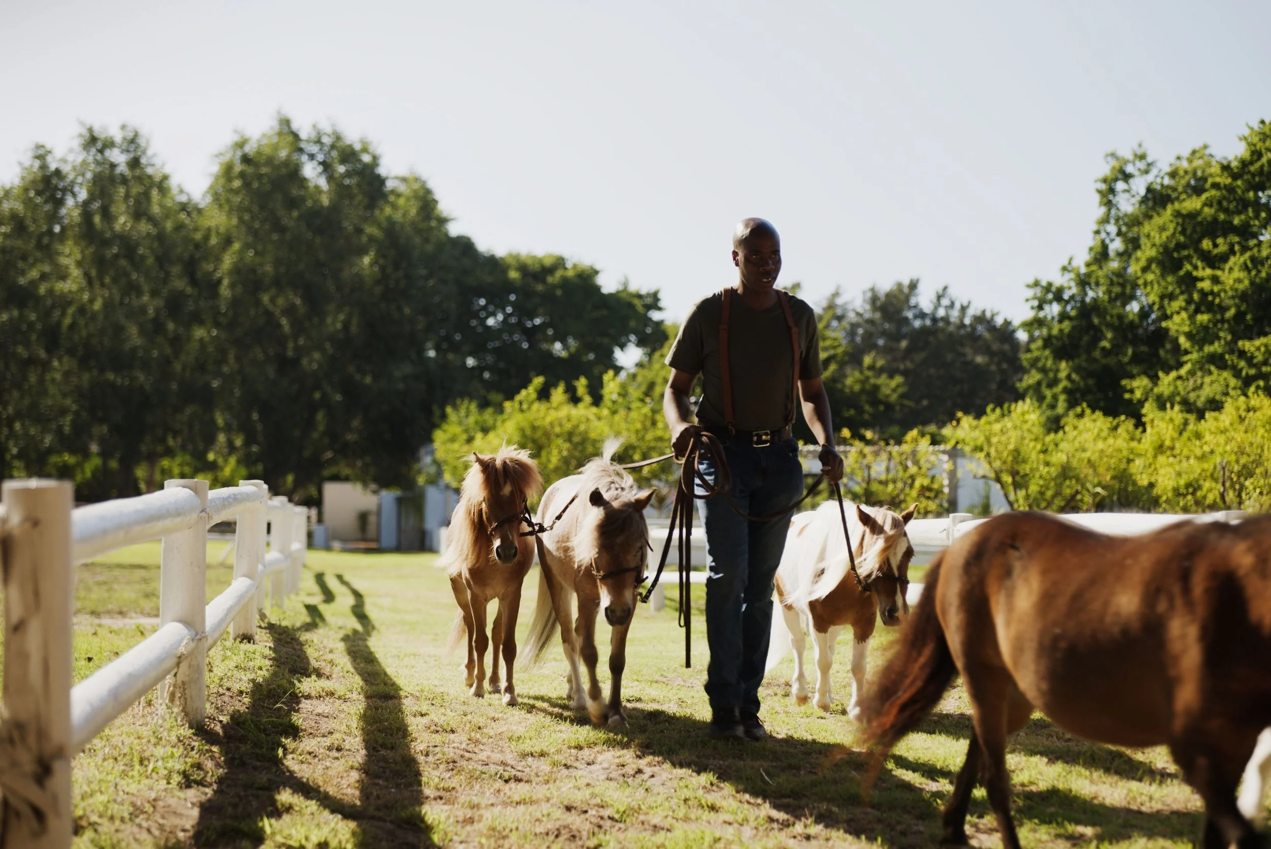 THE RESIDENCE 20261.jpg