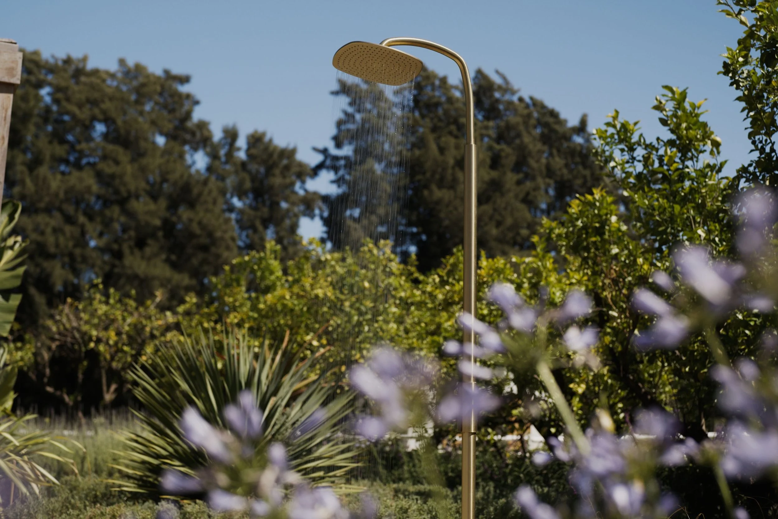 THE BOTANICAL  20268.jpg