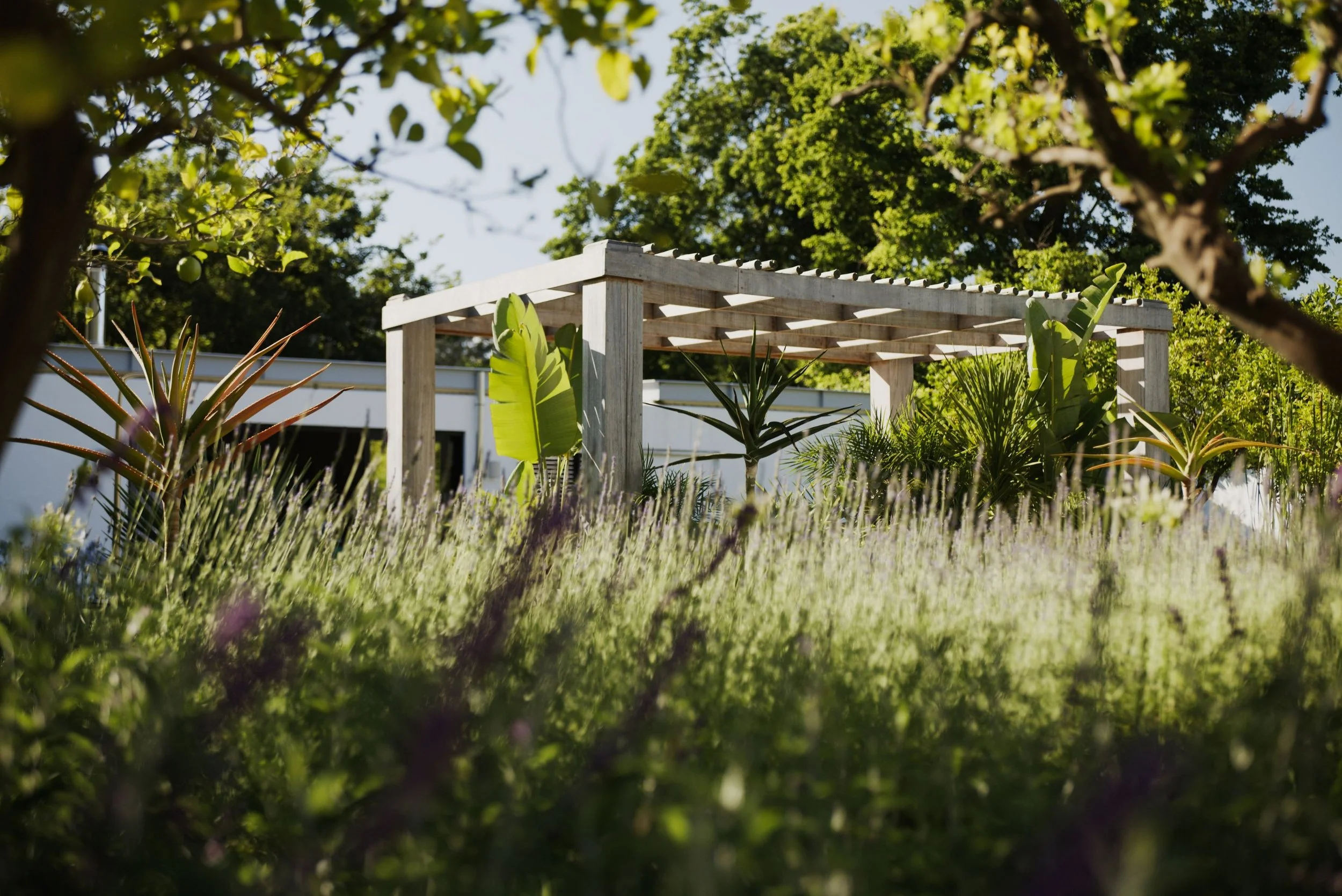 THE BOTANICAL  202610.jpg