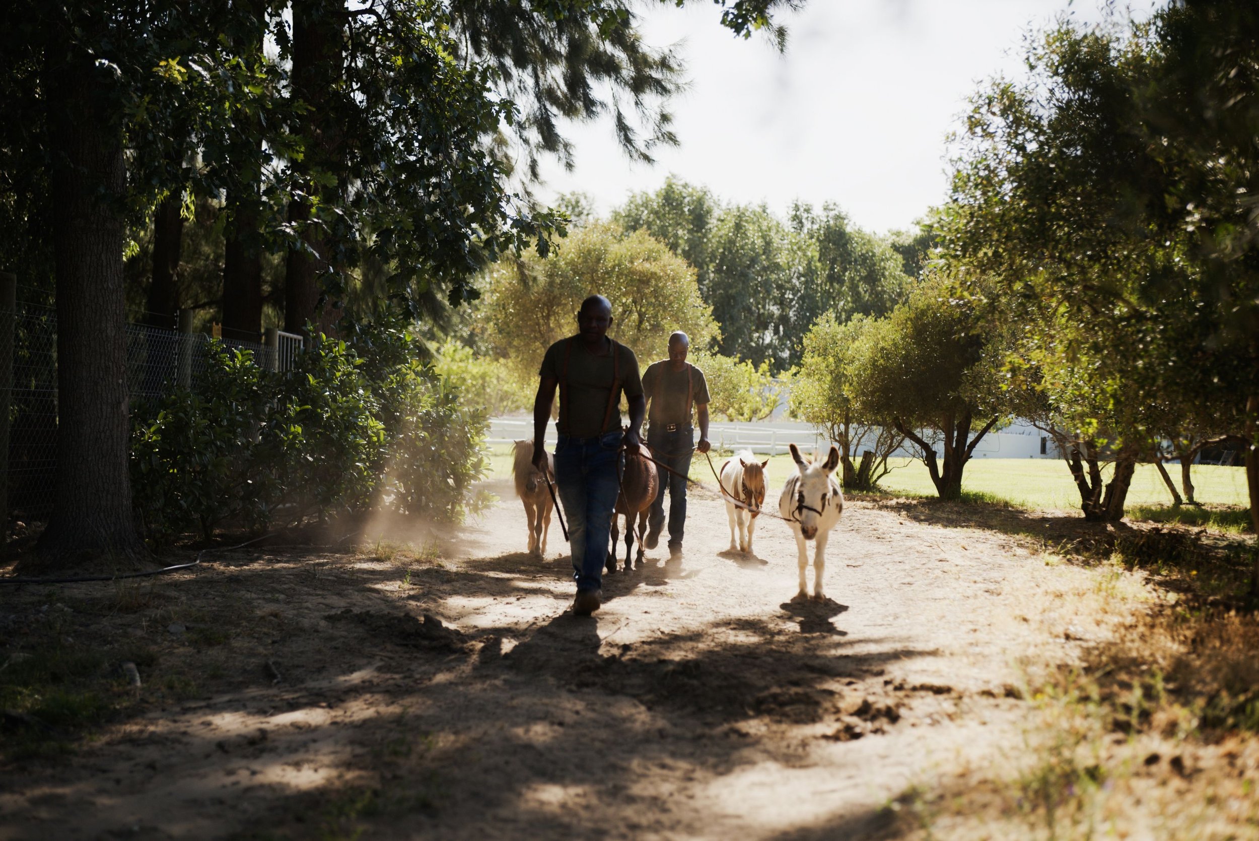 THE STABLE VILLA  202615.jpg