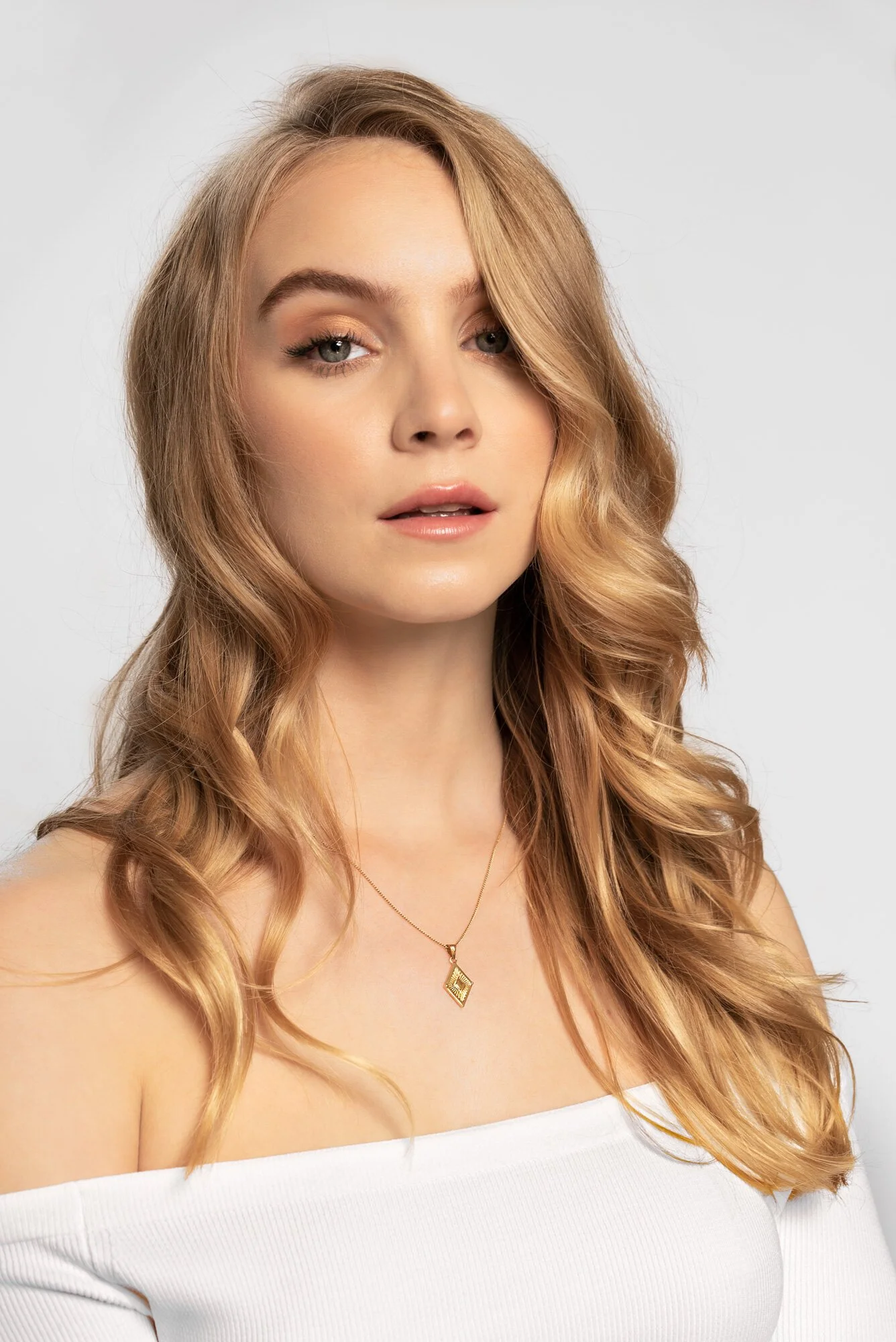 GoOnlineTools-image-downloader (4).jpeg