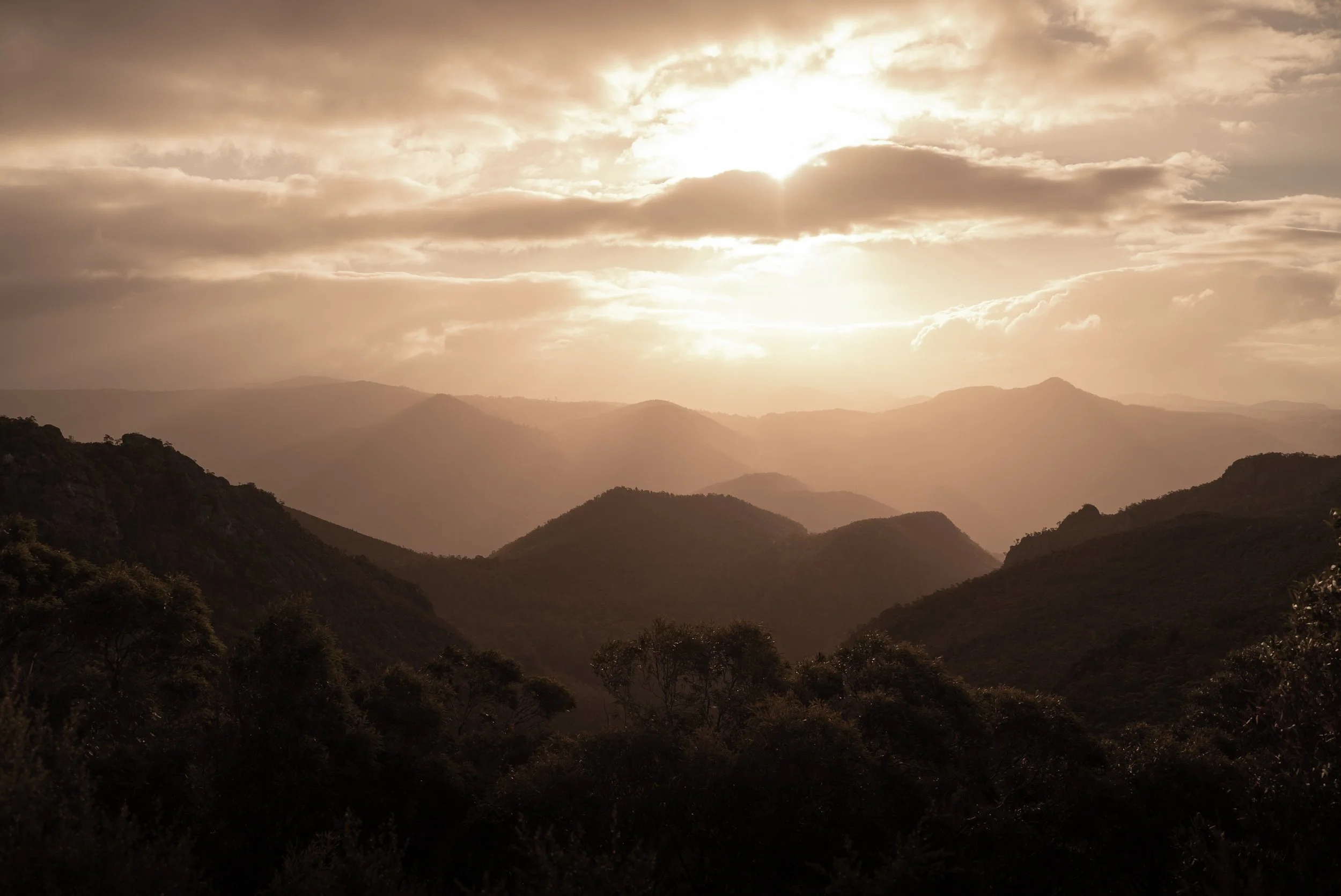 GoOnlineTools-image-downloader (14).jpeg