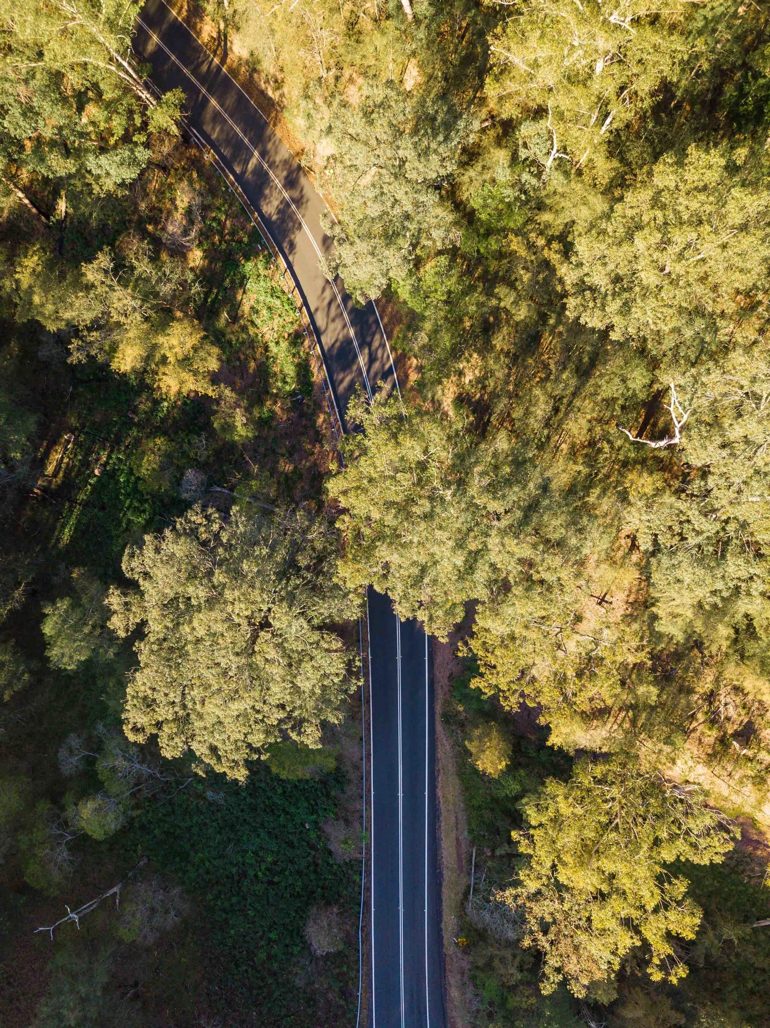 GoOnlineTools-image-downloader (17).jpeg