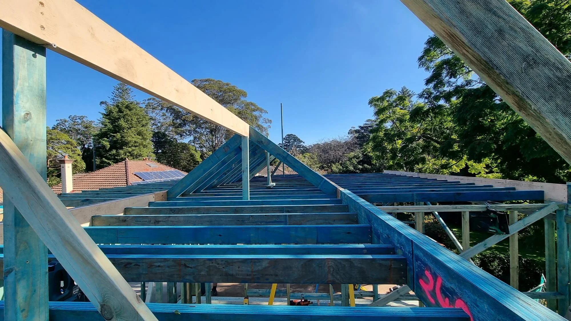 WhatsApp Image 2024-07-05 at 00.00.53_a36646f7.jpg