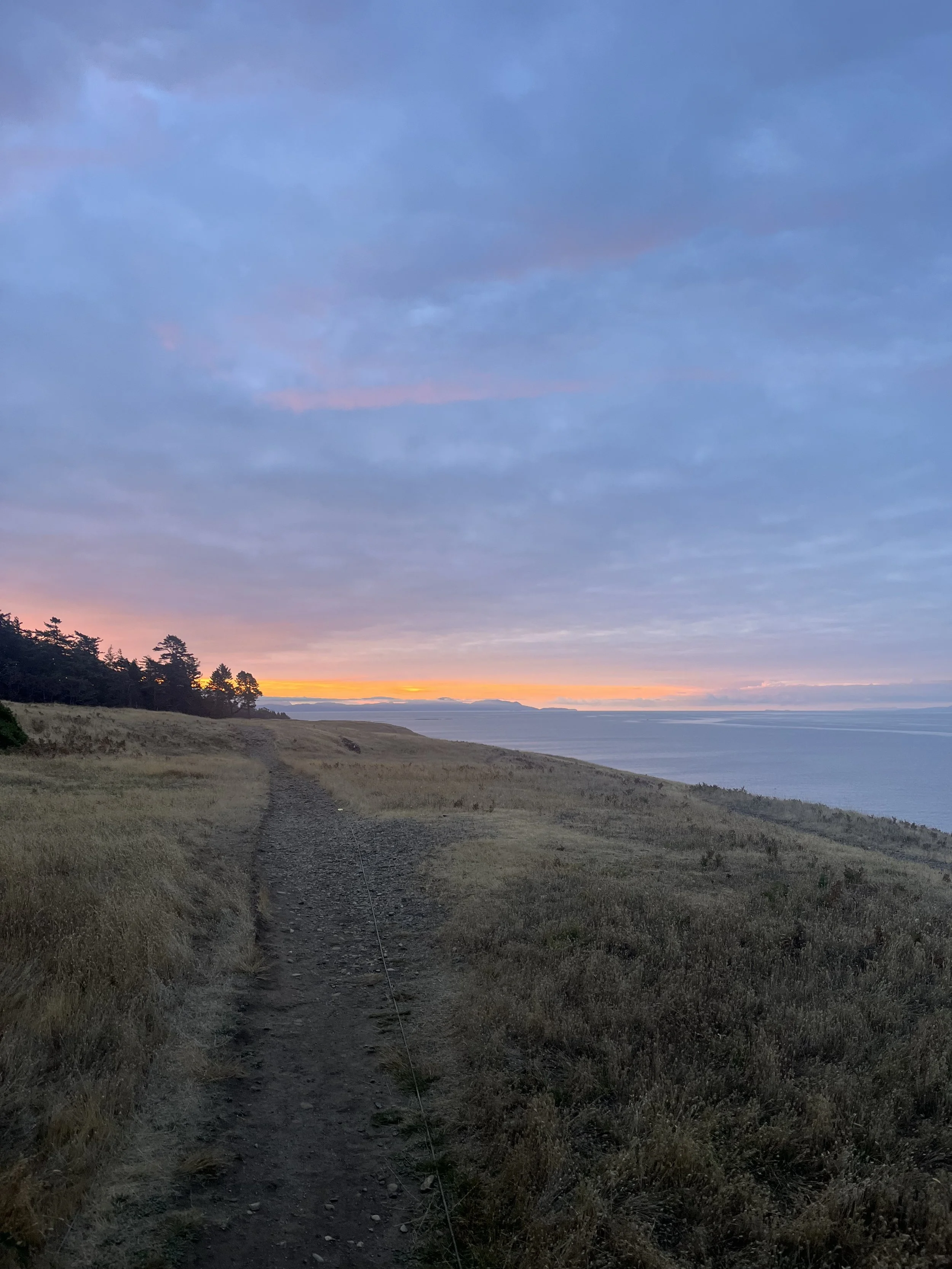 A Year of Running: The Road to Victoria