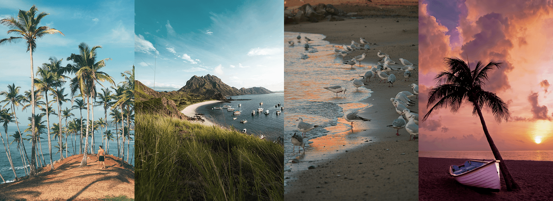 A four-image B-roll sequence showing palm trees by the sea, a wide coastal bay, seabirds along the shoreline, and a sunset beach scene, illustrating how supporting shots add place, mood, and visual variety to a travel segment