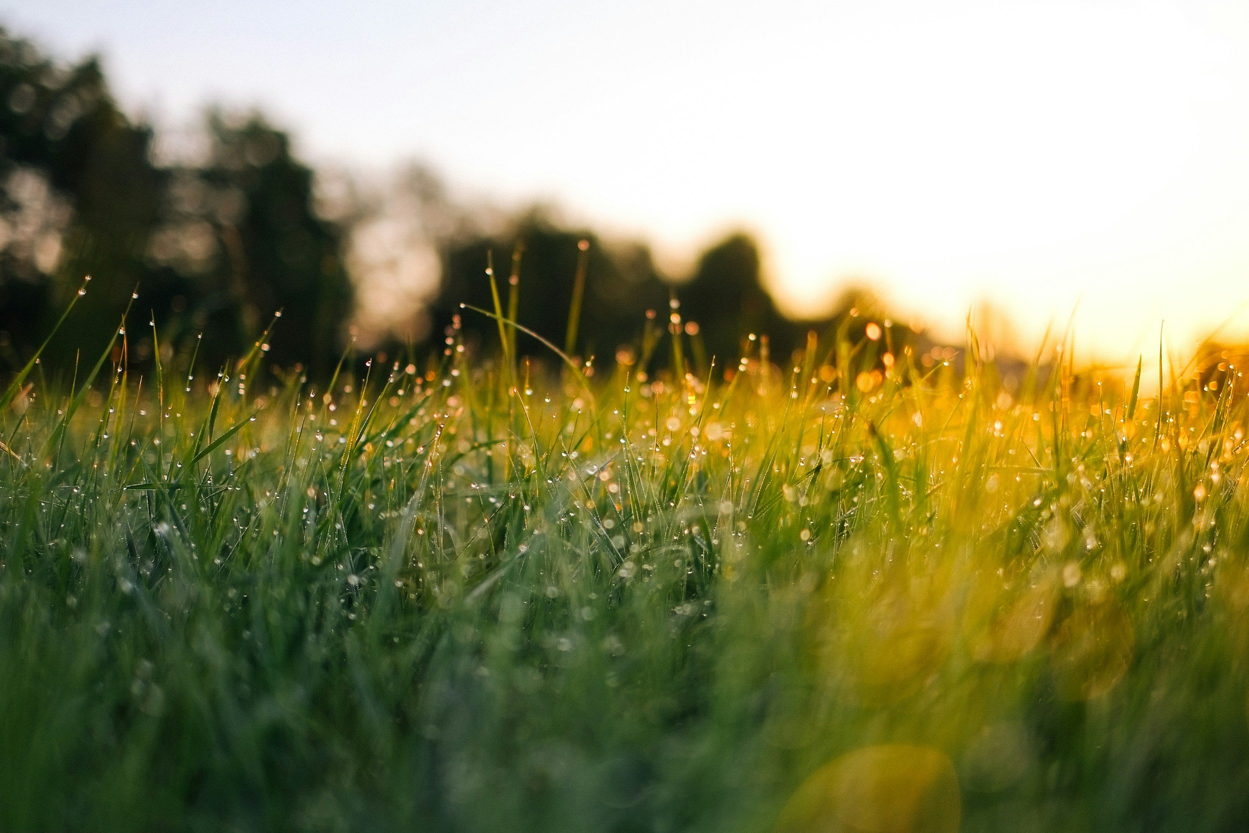A Morning Connection- Engaging Your Senses