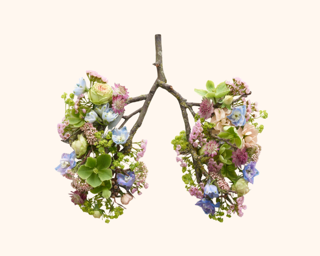 Breathe into Being: a conscious connected breathwork class