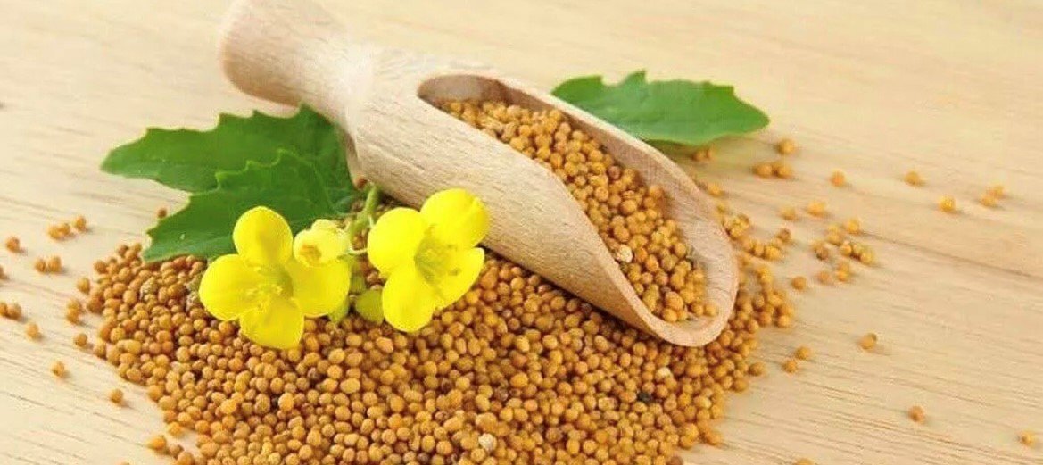 mustard seed (1).jpg