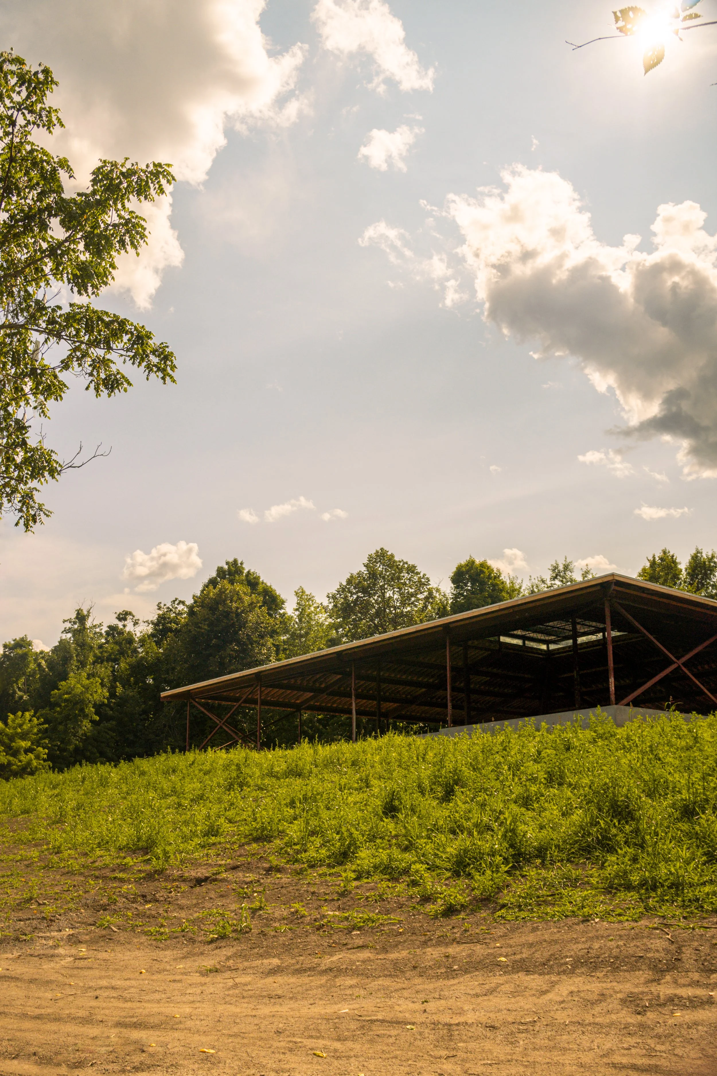 1818 Farm & Cidery | Farm-fresh, organically grown produce.