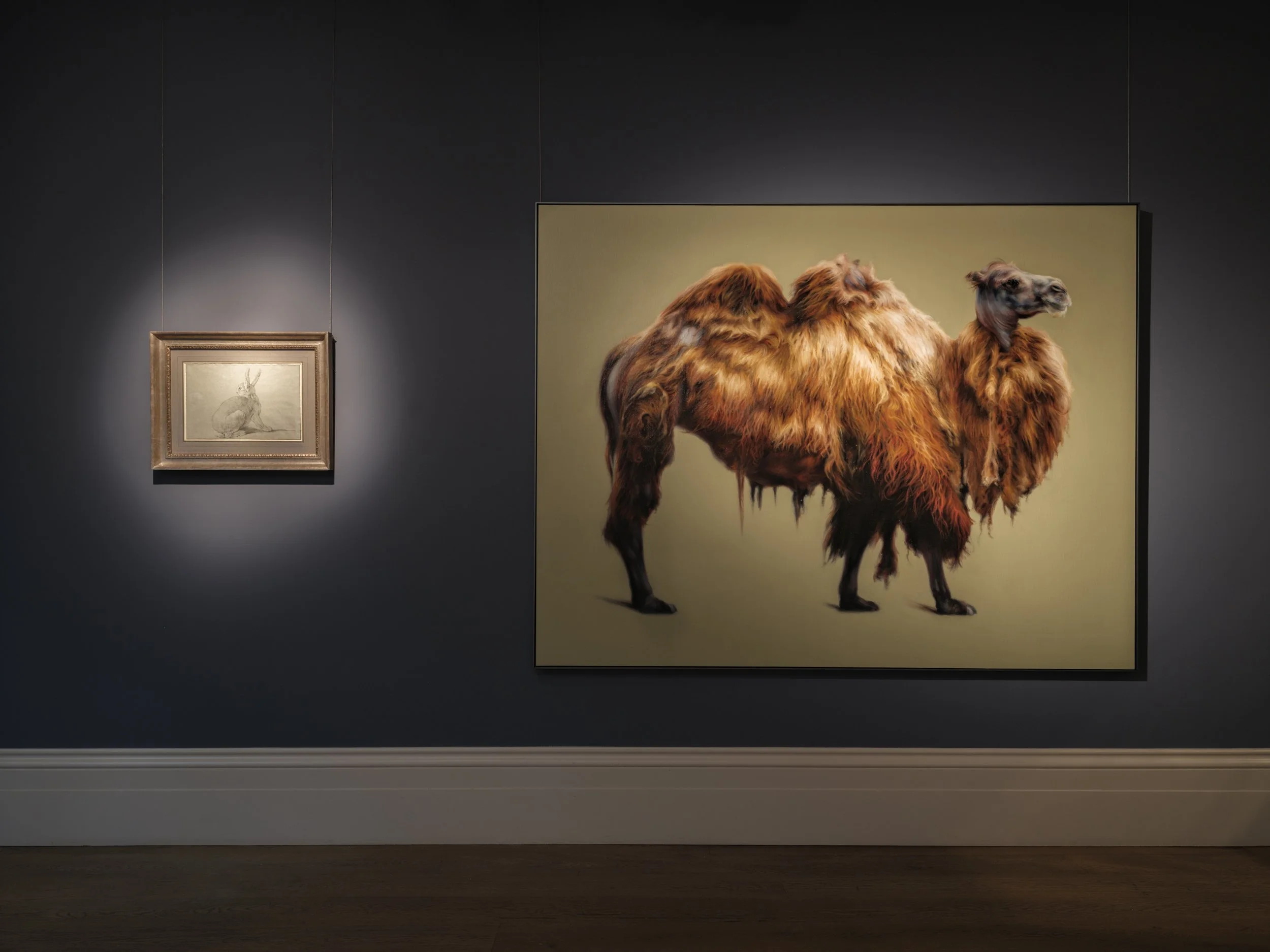 Imaginary Lines-22 Web Res.jpg