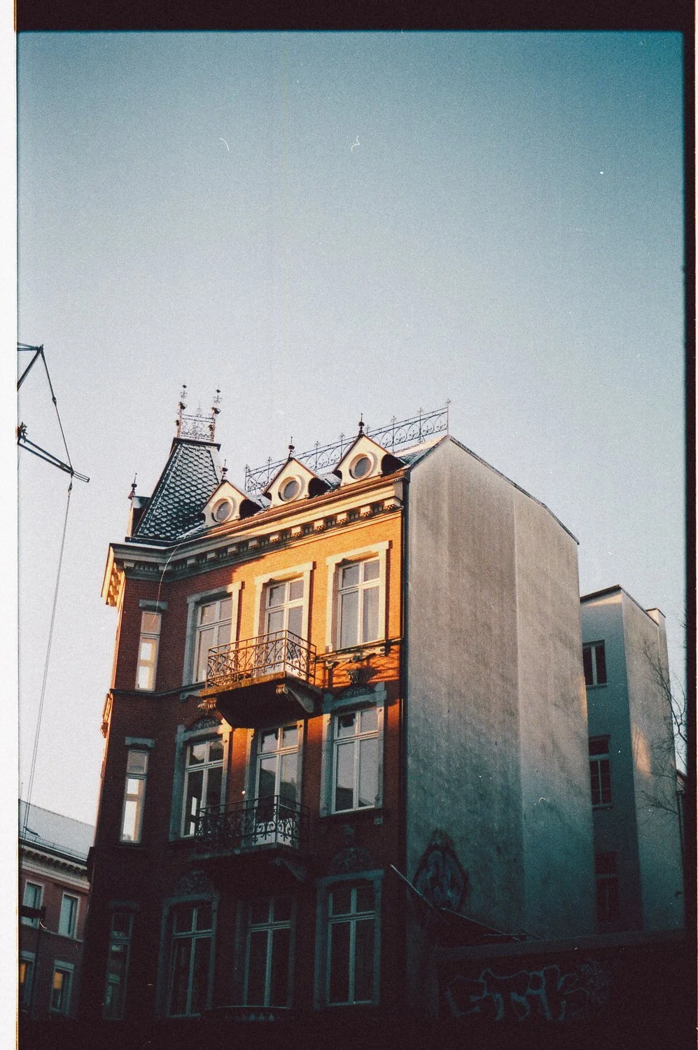 20190202-img765.jpg