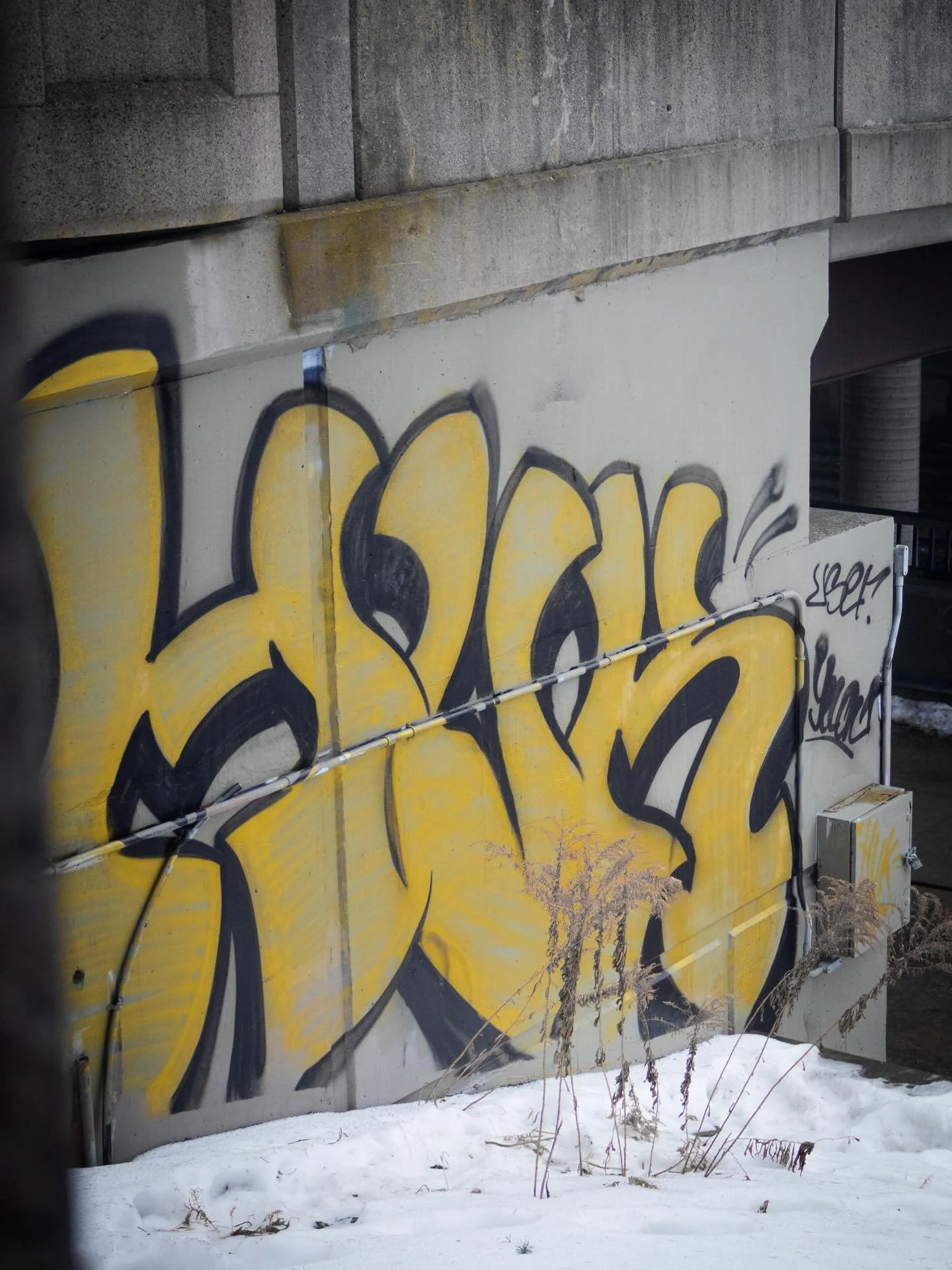 📍 Rogers Centre, Toronto 

#graffiti #photography #streetart