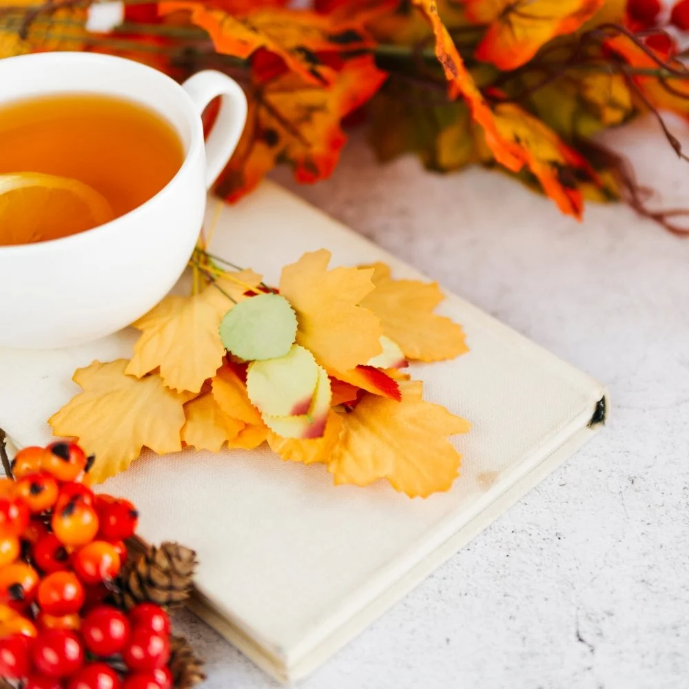 Autumn Immunity: How Green Tea &amp; Ginger Supports Your Seasonal Defense