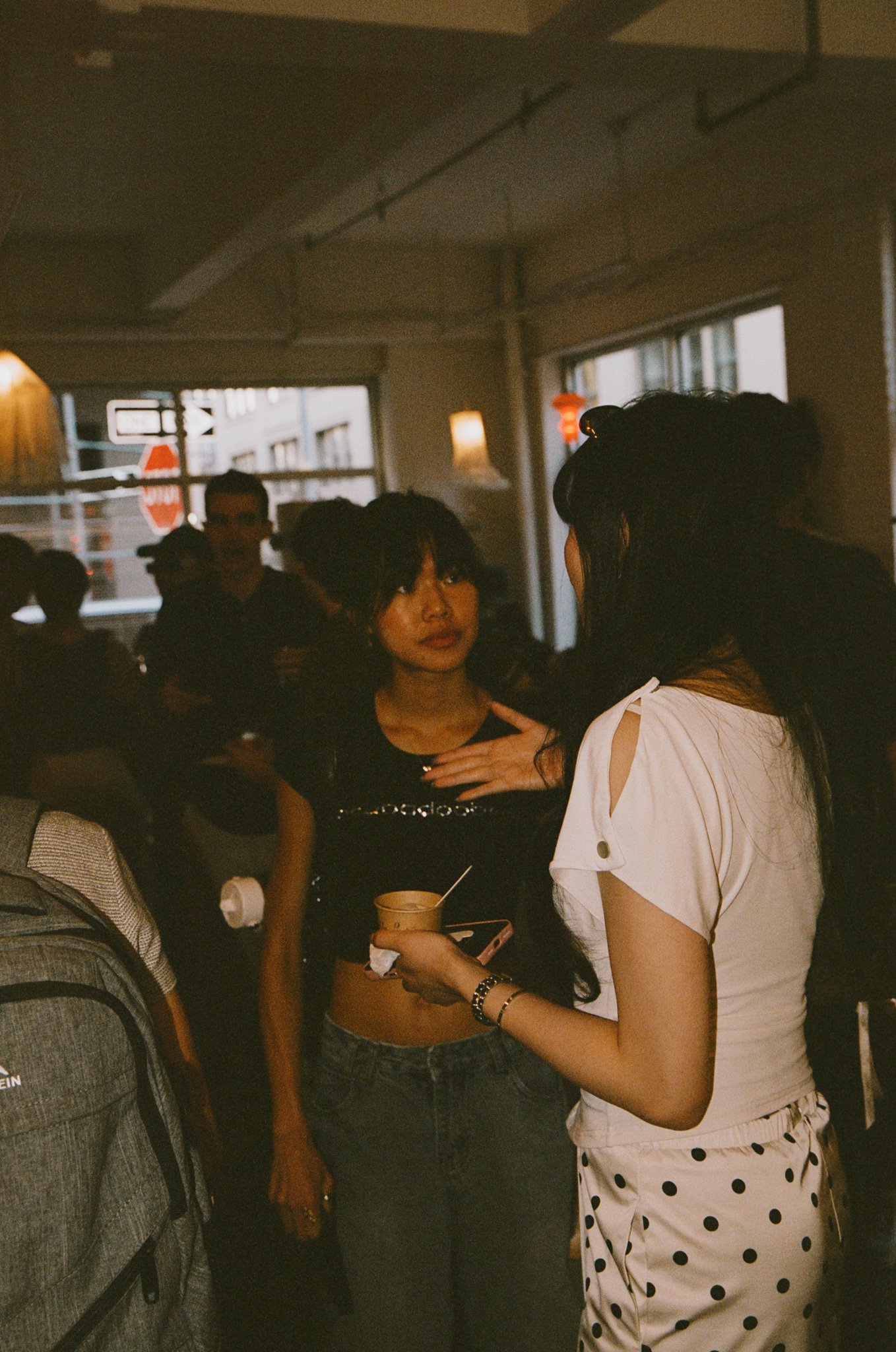 TheLibiJournal_50.jpg