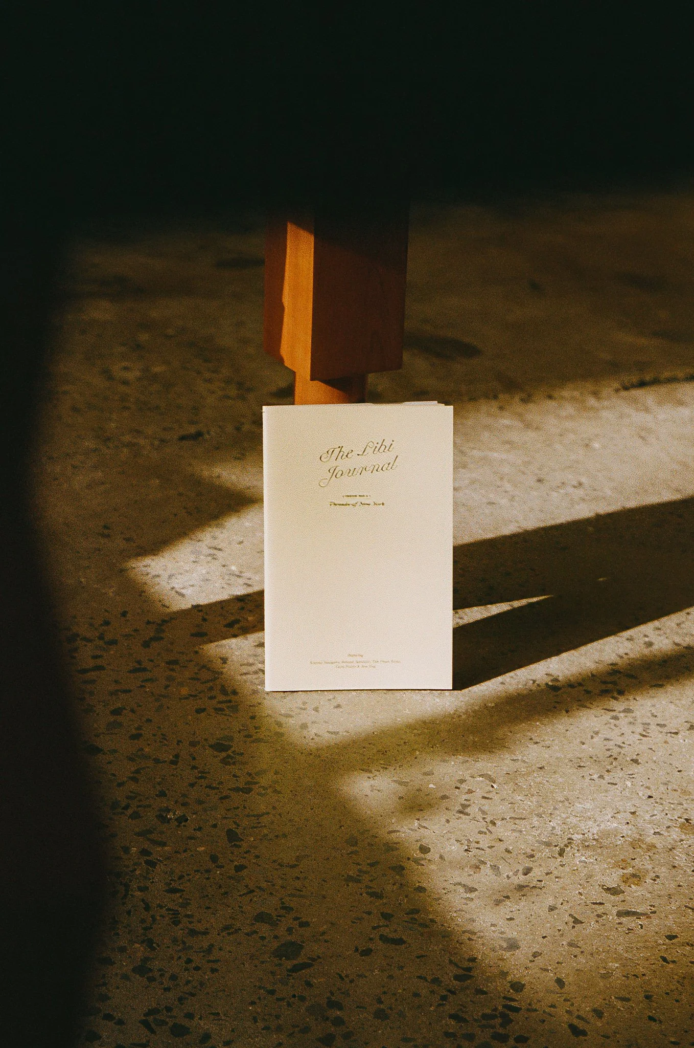 TheLibiJournal_36.jpg