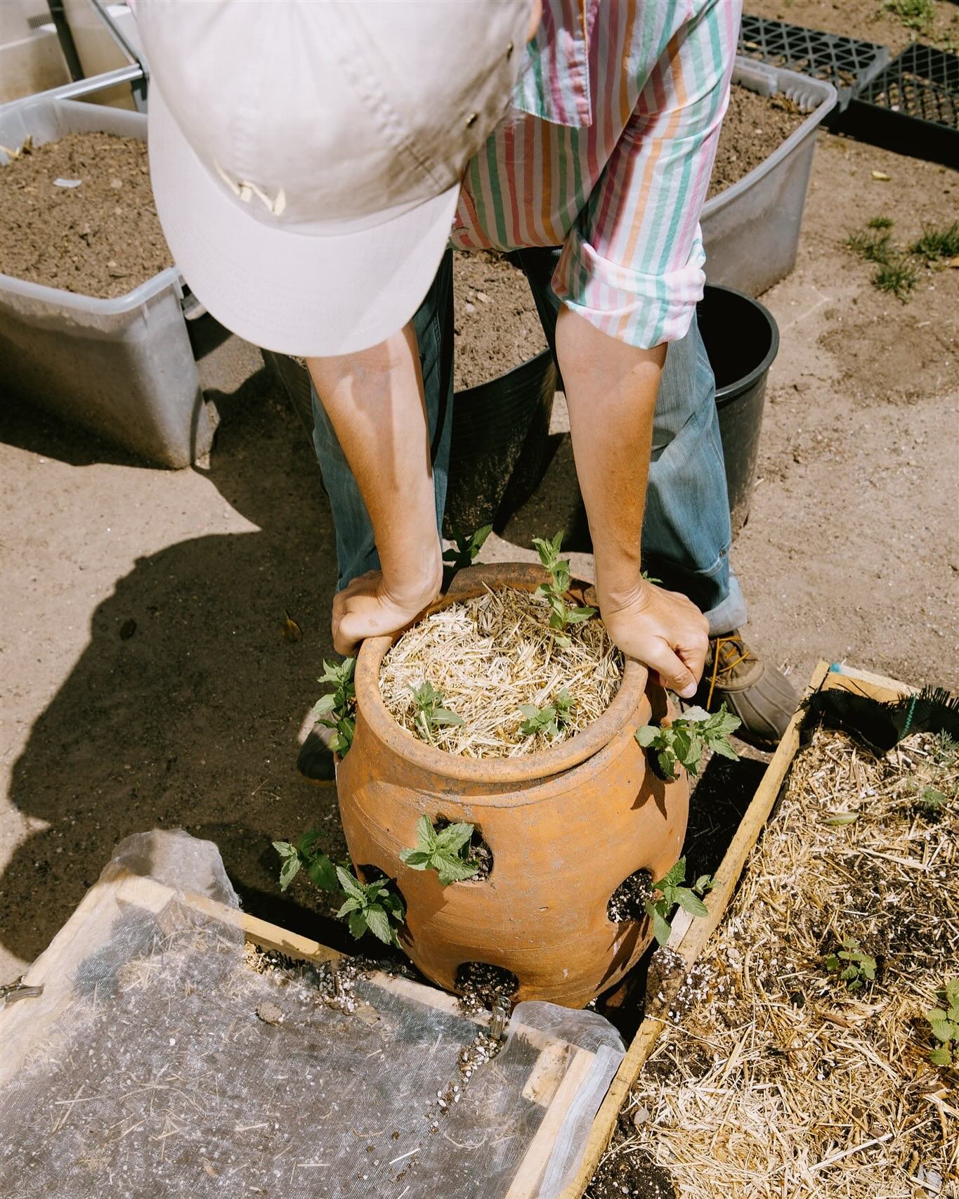 Food security starts with accessibility and the power of choice.

Sharing some images we shot for @securingsafefood, a national nonprofit dedicated to fighting food insecurity among individuals with food allergies and improving access to allergen-fre