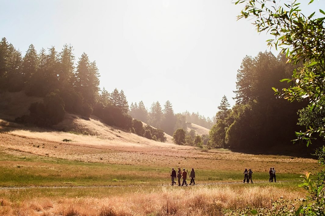 The Libi Listings are back :)
We&rsquo;re continuing to highlight the diverse and innovative network of local farmers, chefs, creatives, and adjacent organizations within the broader food community doing important work. 

This week, we&rsquo;re featu