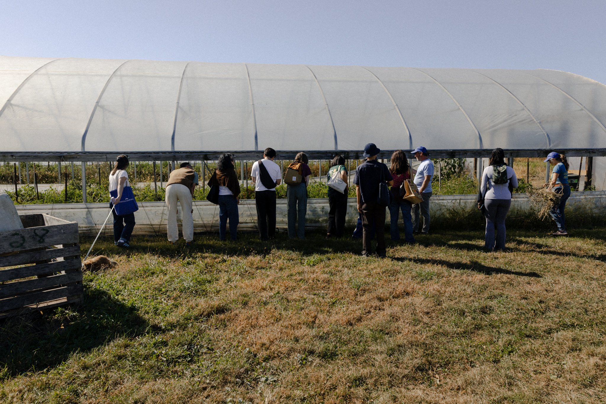 FarmoOfEve_TheLibiProject_241020_036.jpg
