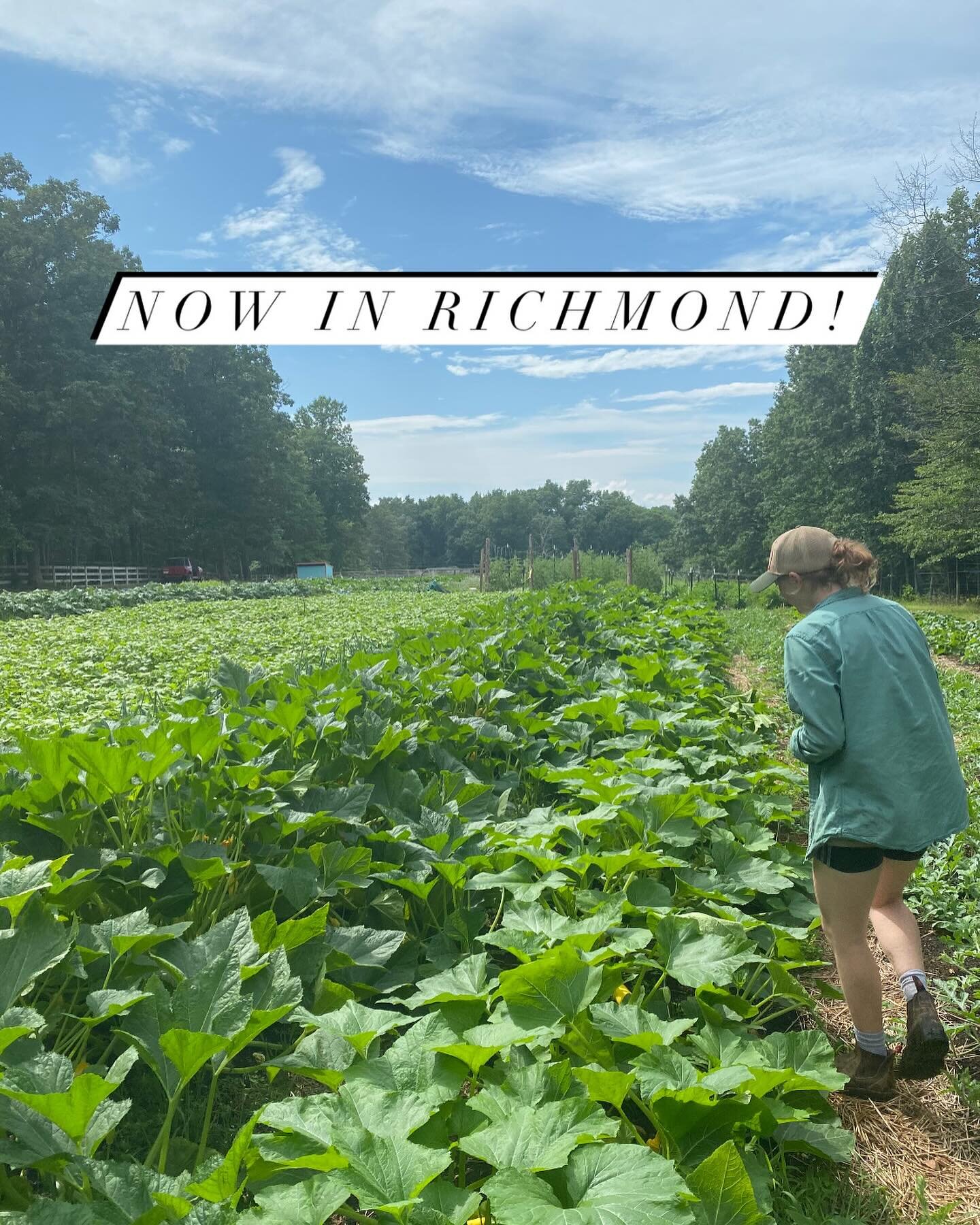 OMG we&rsquo;ll be in Richmond this season at @birdhousefarmersmarket ! The market will be a CSA pick up spot as well as a place to get our veggies and eggs a la carte. We&rsquo;re looking for another option for CSA pickup along the lines of a self-s