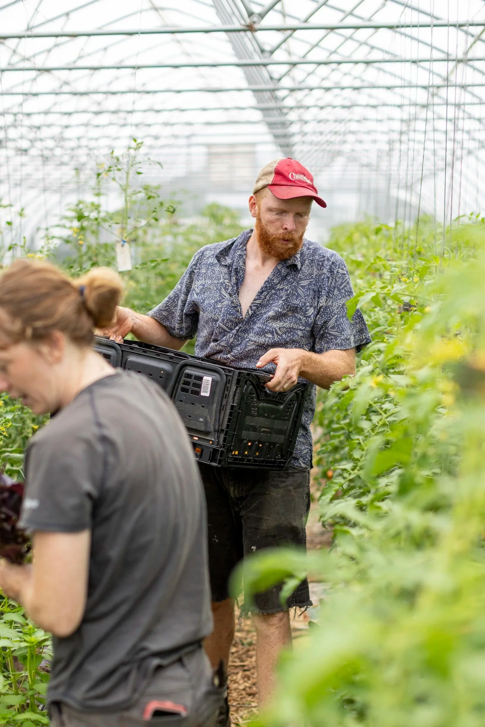 Chime_Studio_for_September_Sun_Produce_Farm_250716_69.jpg