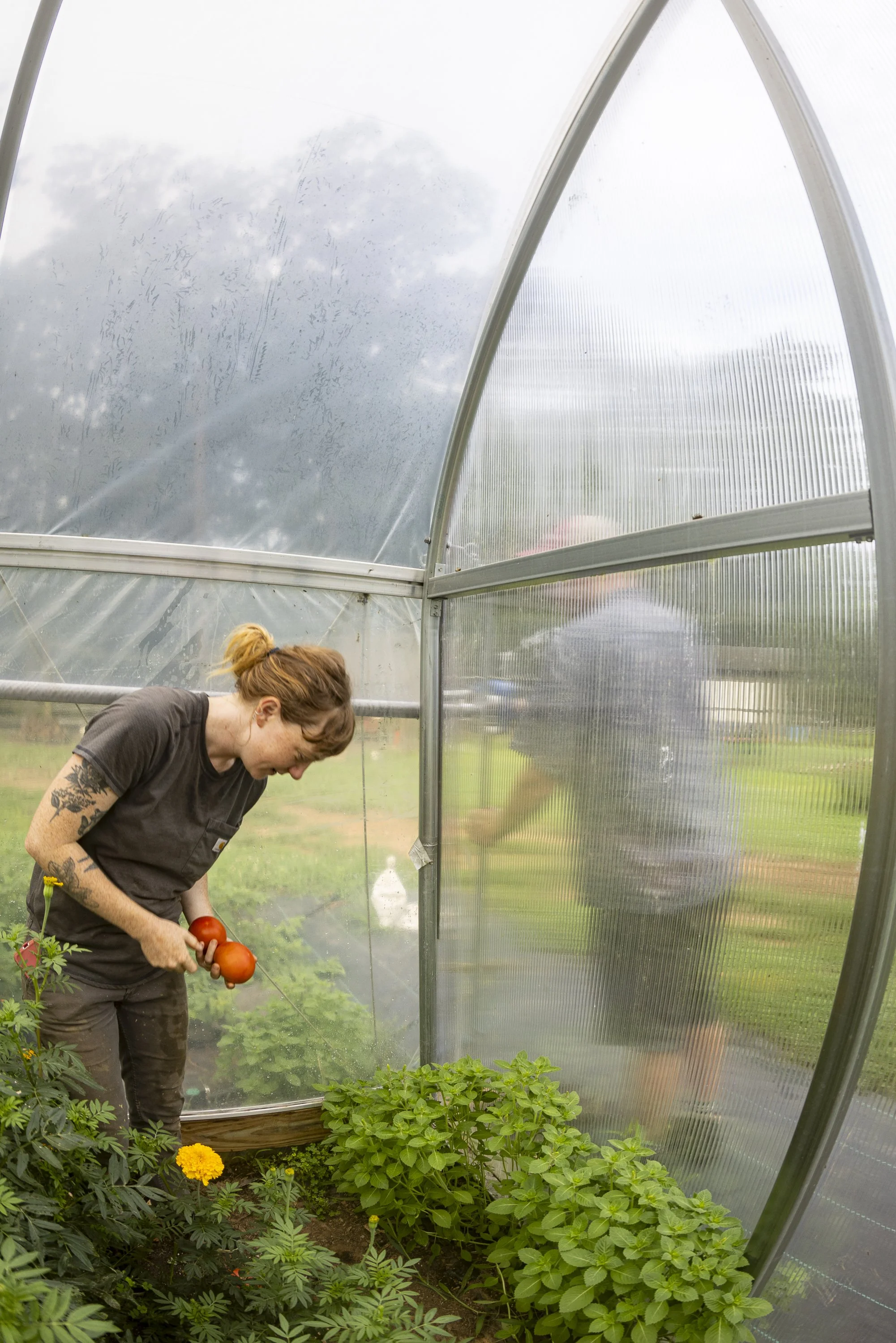 Chime_Studio_for_September_Sun_Produce_Farm_250716_107.jpg
