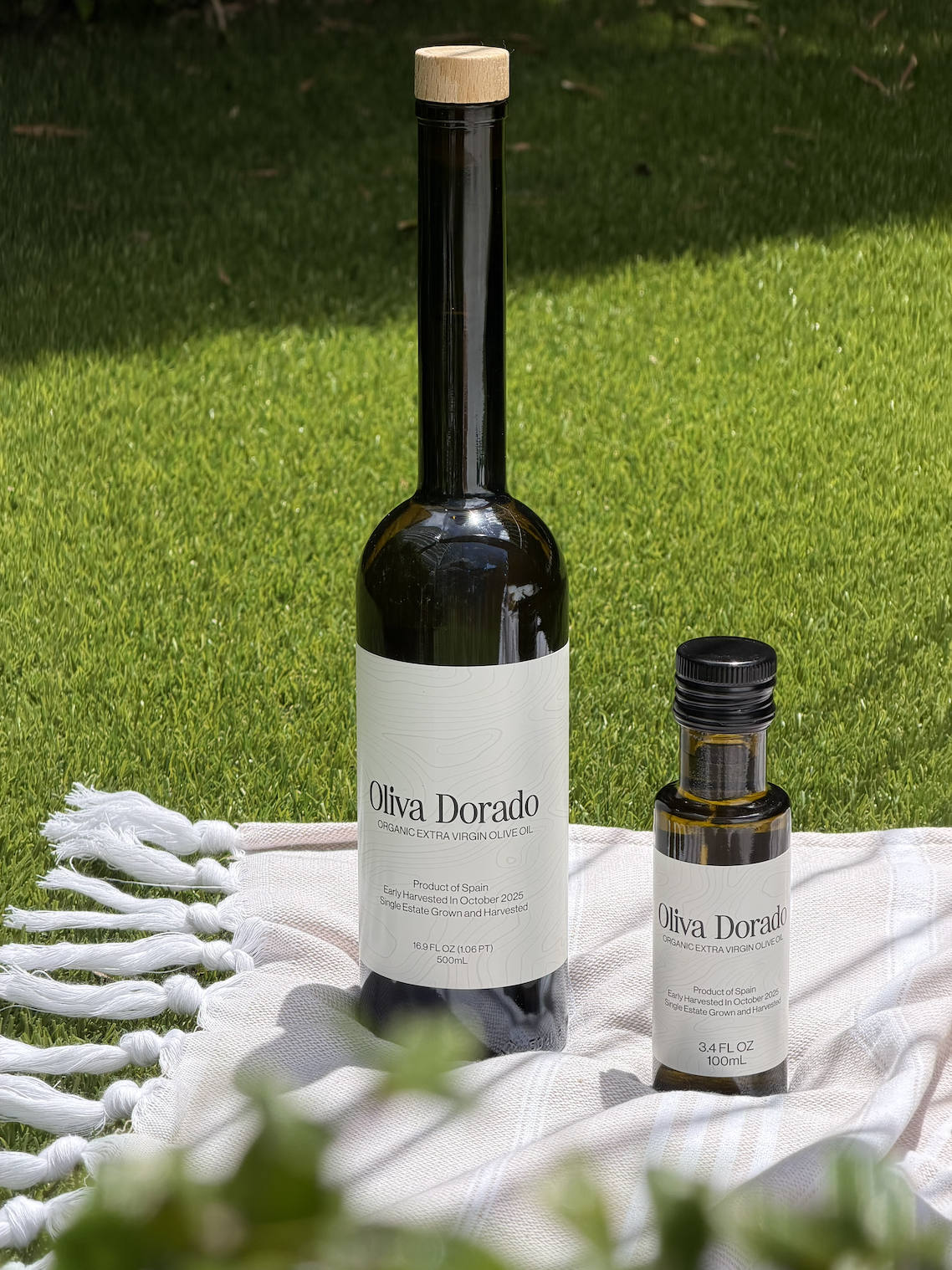 Screenshot 2026-04-11 at 10.02.51 AM.png