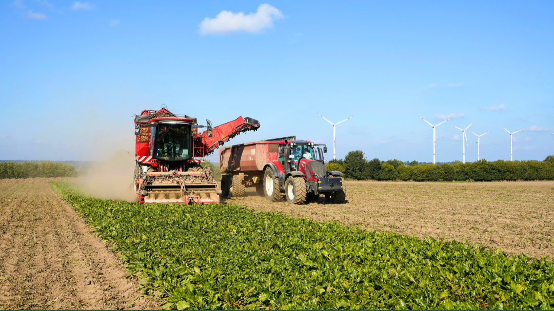 Who Really Shapes Our Landscape? (Hint: It’s in Your Shopping Basket)