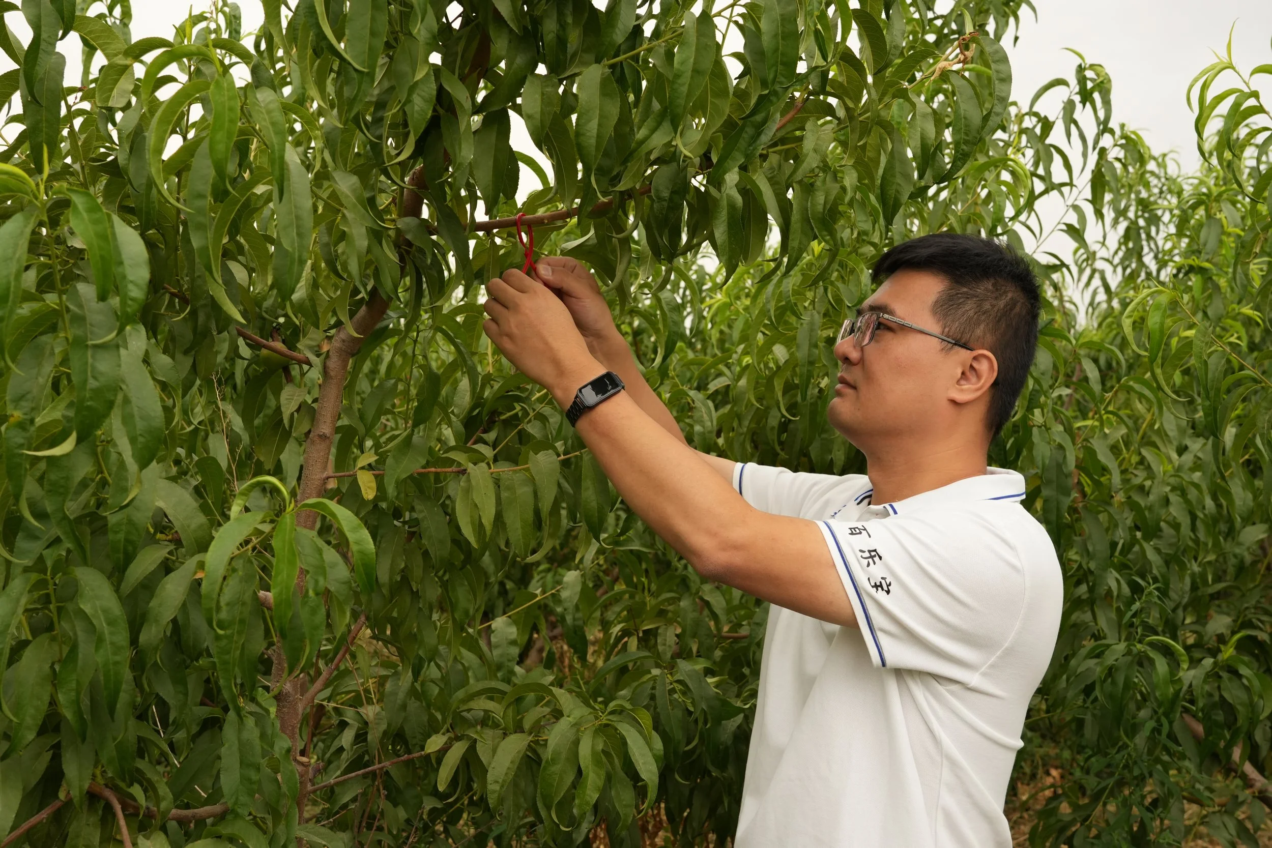 Bioglobal Field Trialist.