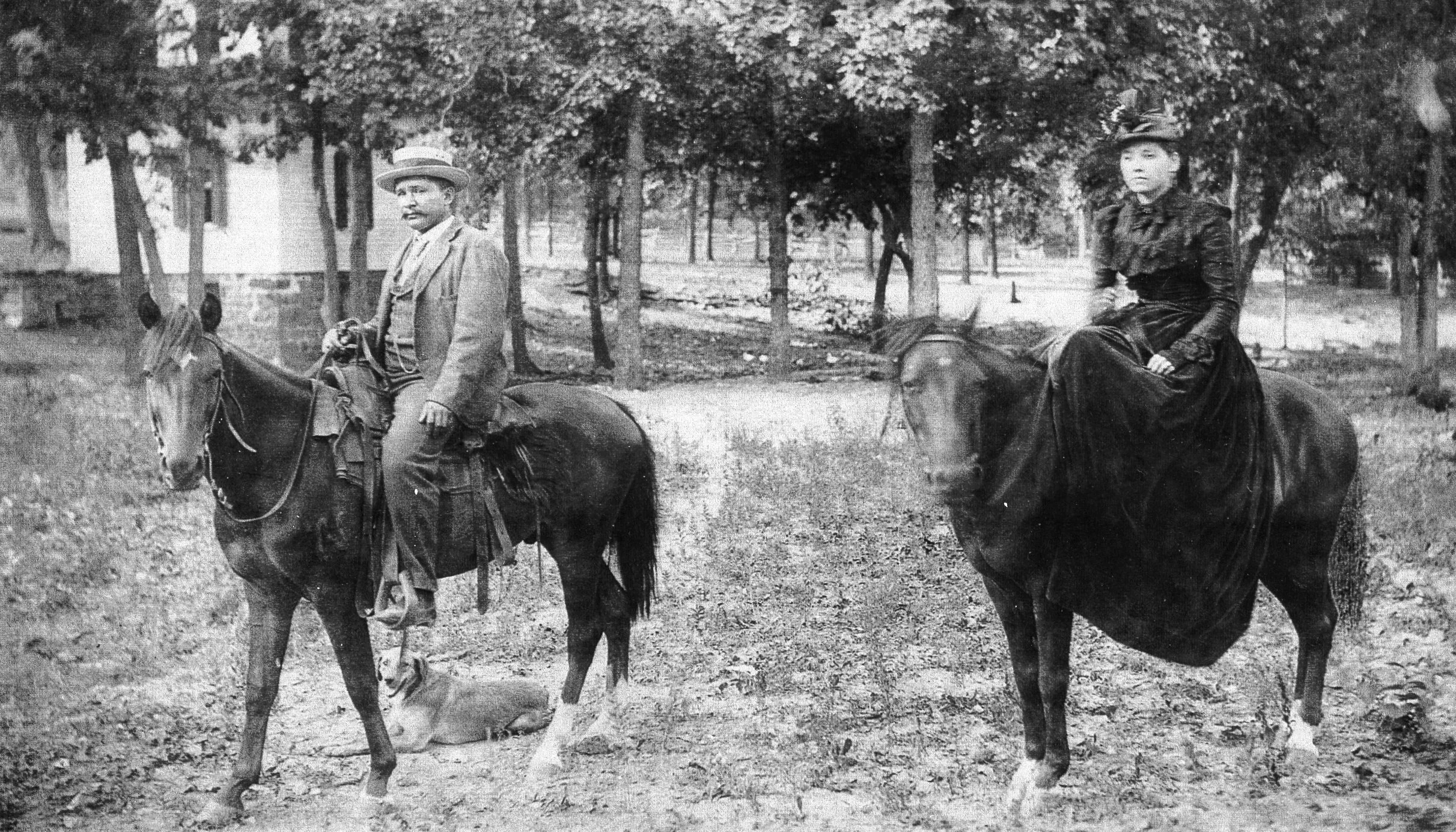 IsraelSplitlog 2.jpg