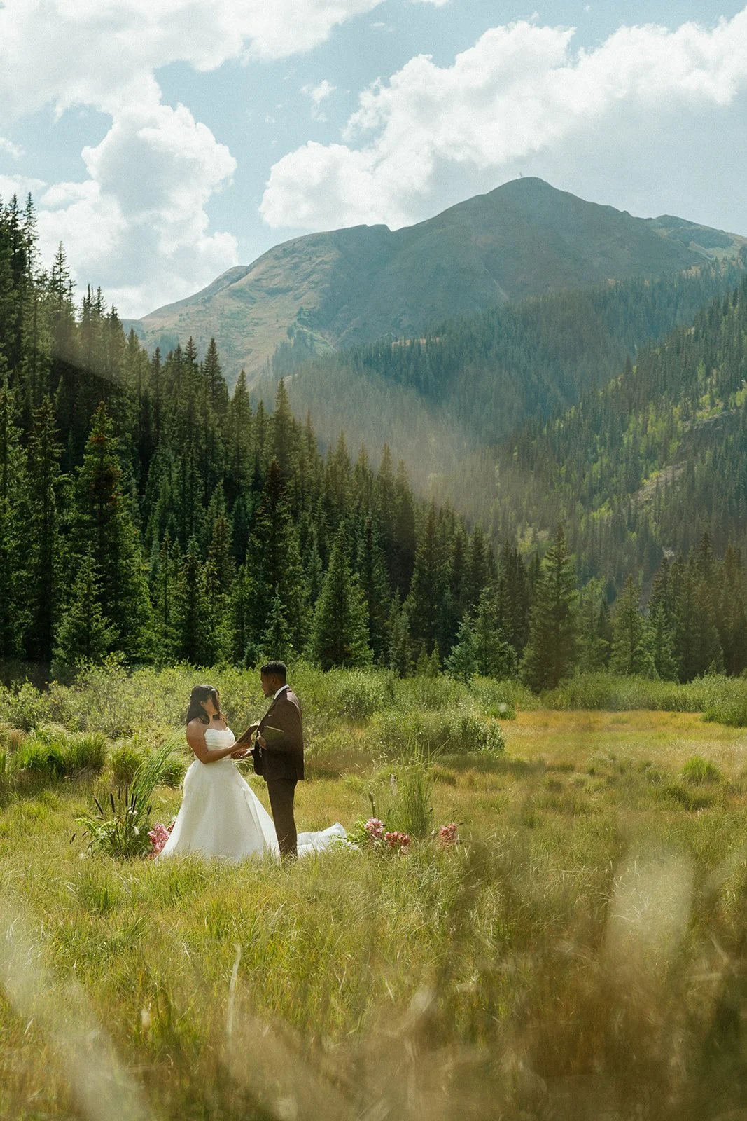A wedding ceremony taking place outdoors in a meadow, with a mountainous forest landscape and blue sky in the background. The bride and groom stand in the center, holding hands.