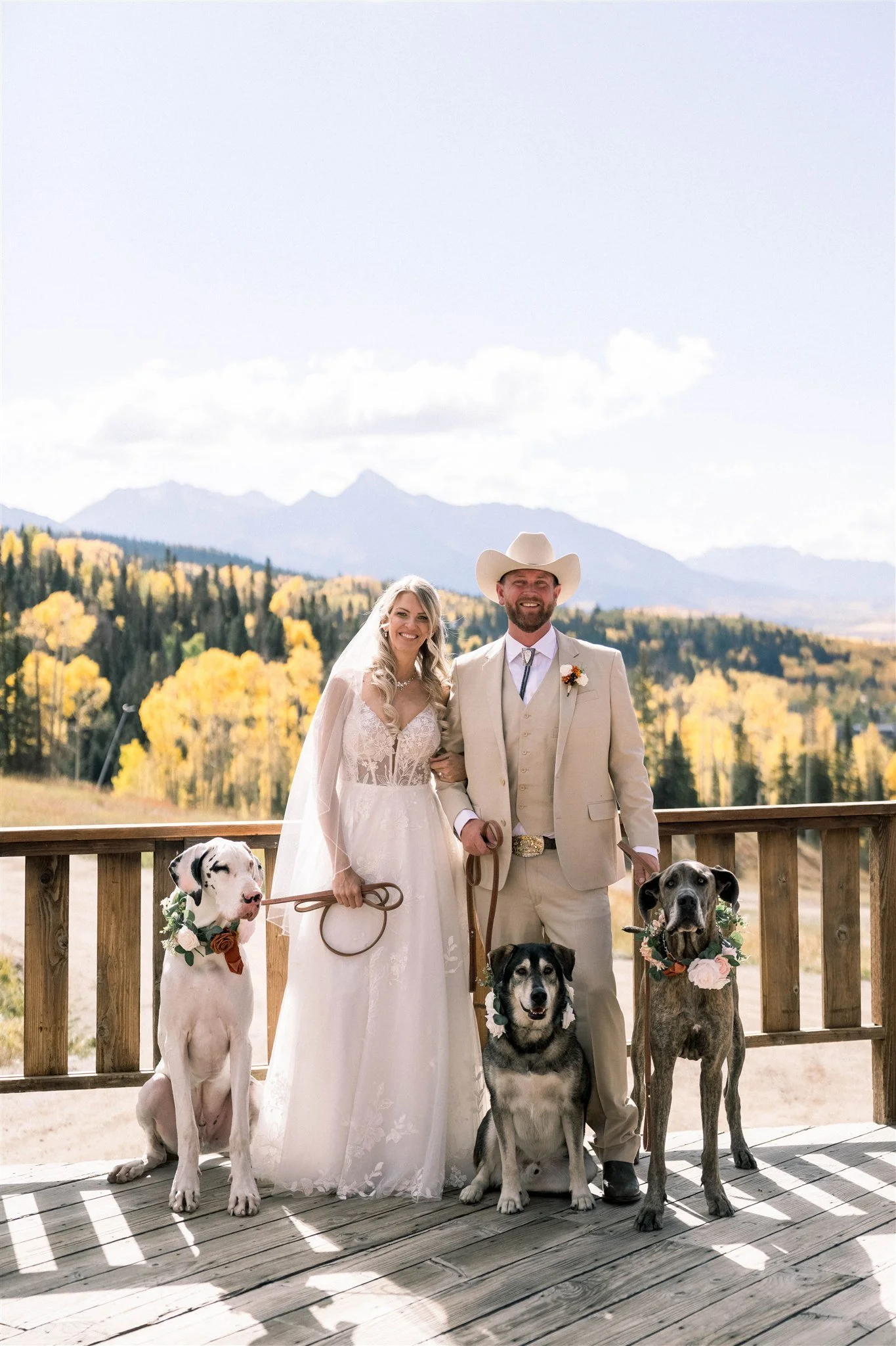 Paws and Portraits: How to Intentionally Include Your Dog in Your Colorado Wedding