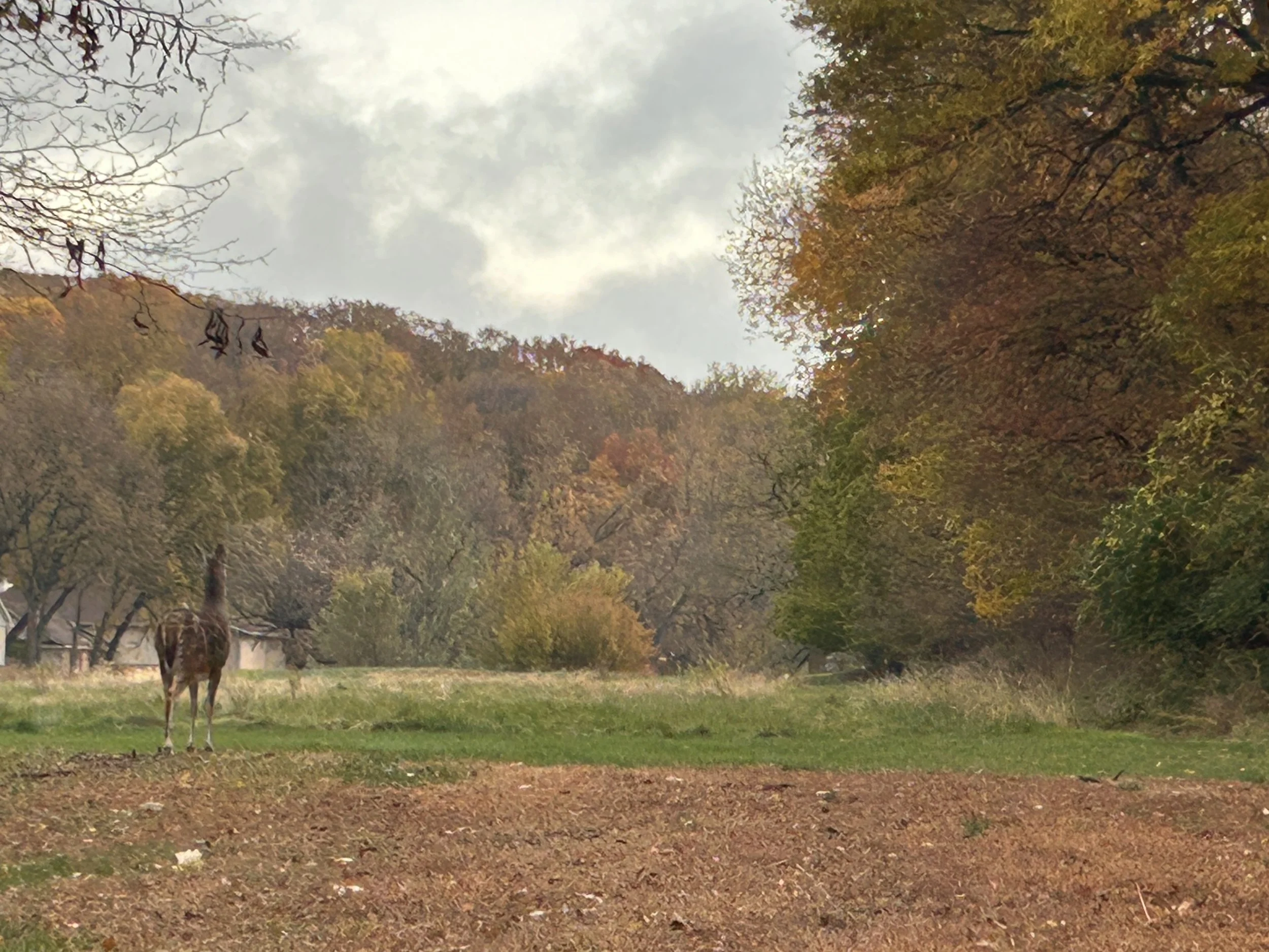 Creating Beauty Is Enough