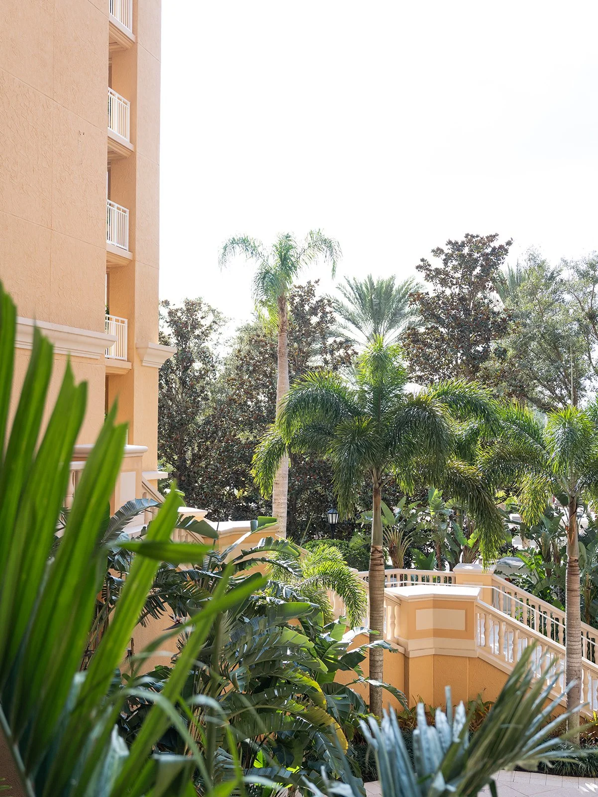 DM Thrive in 25_The Ritz-Carlton Orlando -155.jpg