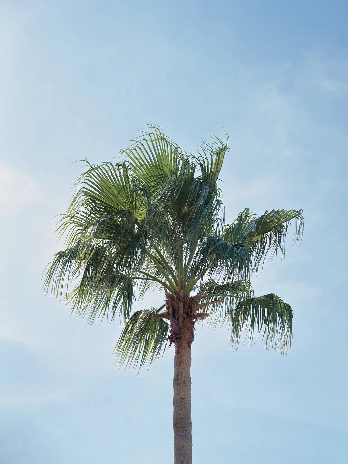 DM Thrive in 25_The Ritz-Carlton Orlando -502.jpg