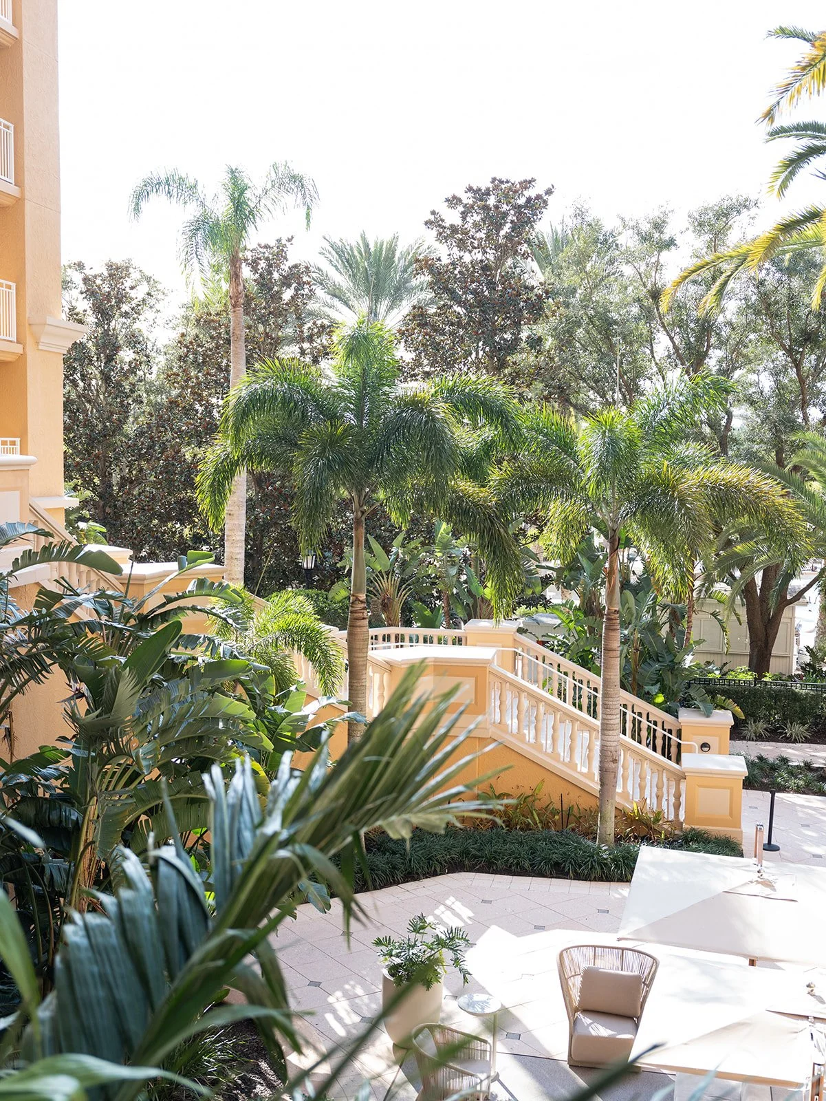 DM Thrive in 25_The Ritz-Carlton Orlando -154.jpg