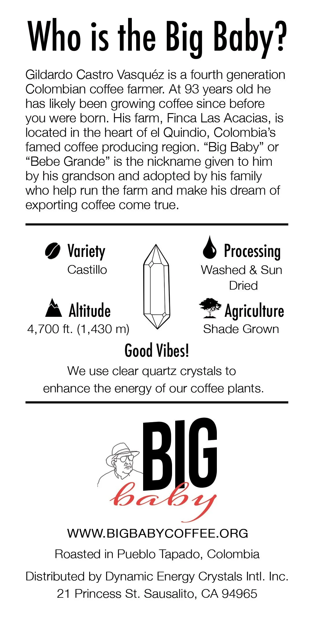 thumbnail_Rear 3x6 with bleed 122223.jpg