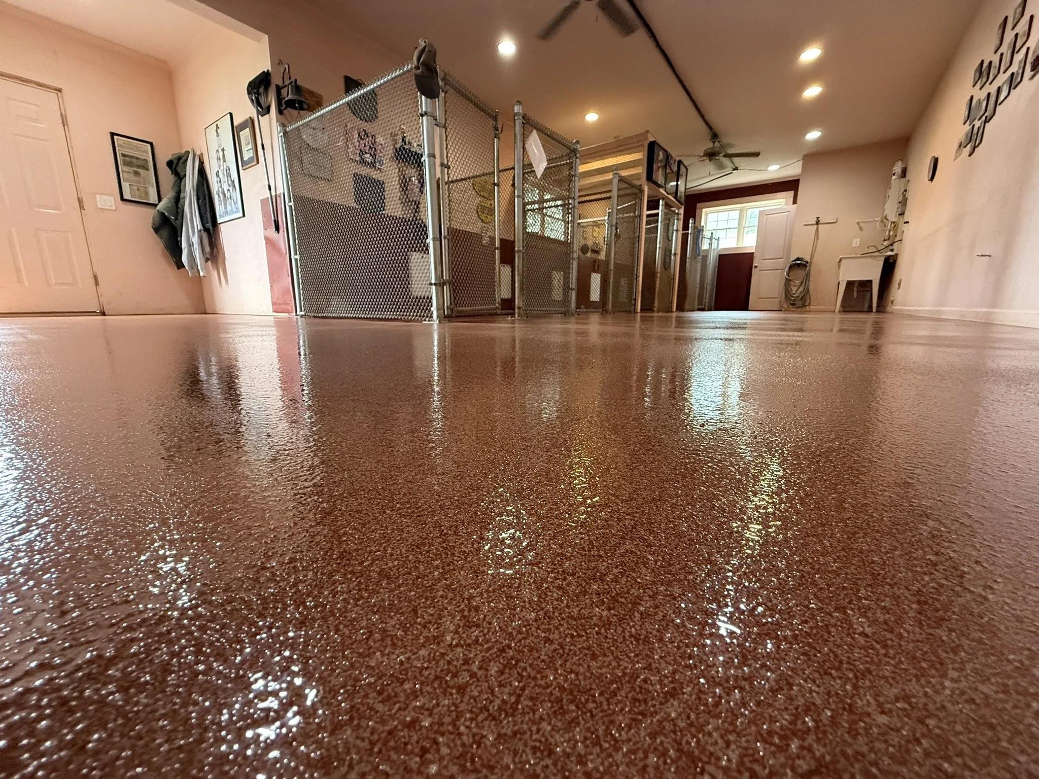 Interior of a pet grooming or veterinary clinic with a clean, polished red epoxy floor, fenced cages, and administrative area in the background.