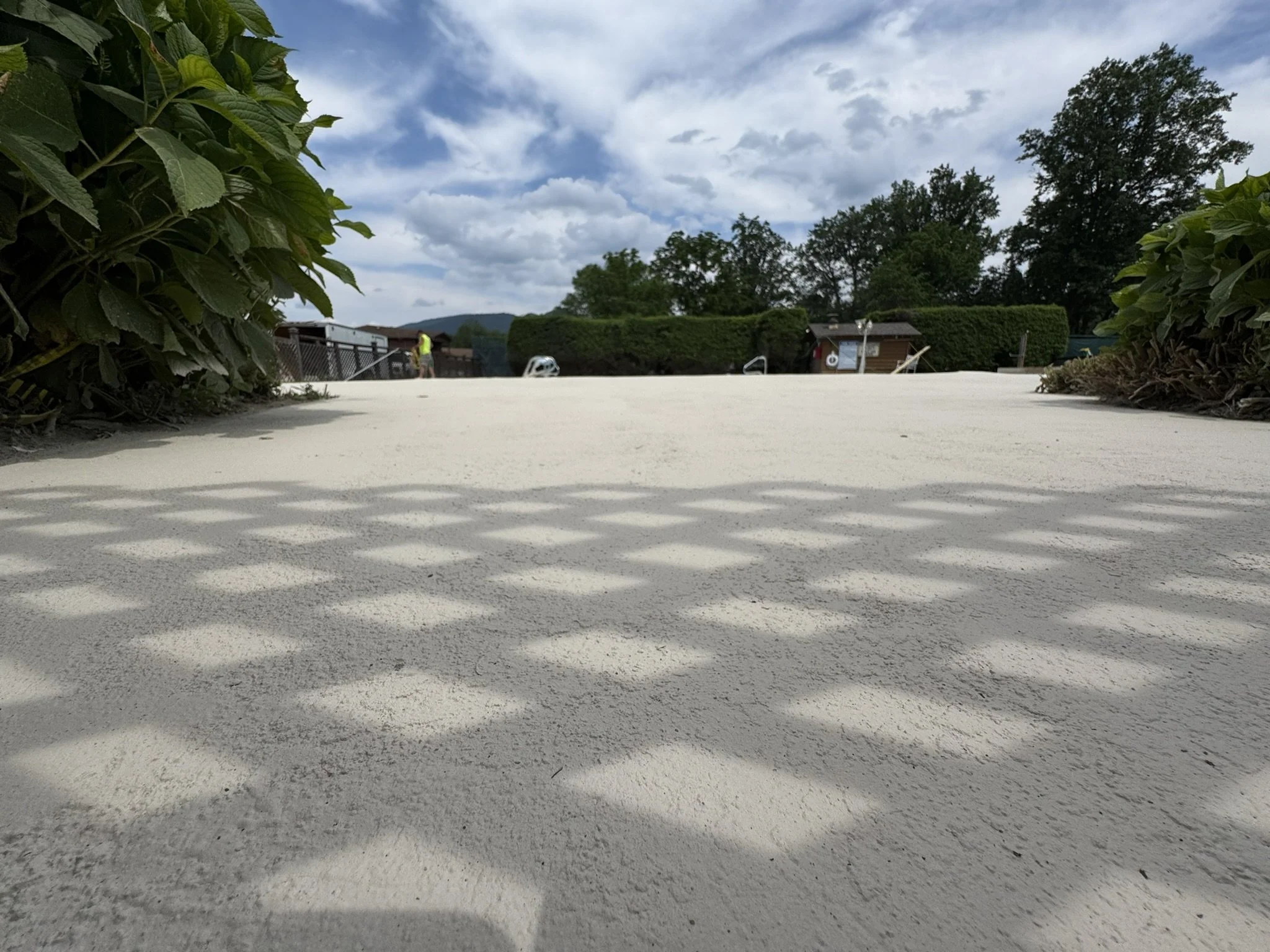 Low-angle view of a paved walkway with shadows cast by bushes on either side, and a cloudy sky overhead.