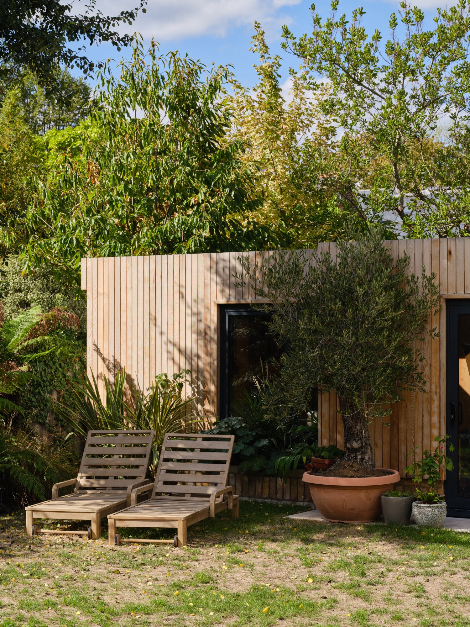 Garden studio with sun loungers and olive trees, Cromwell Road, Teddington