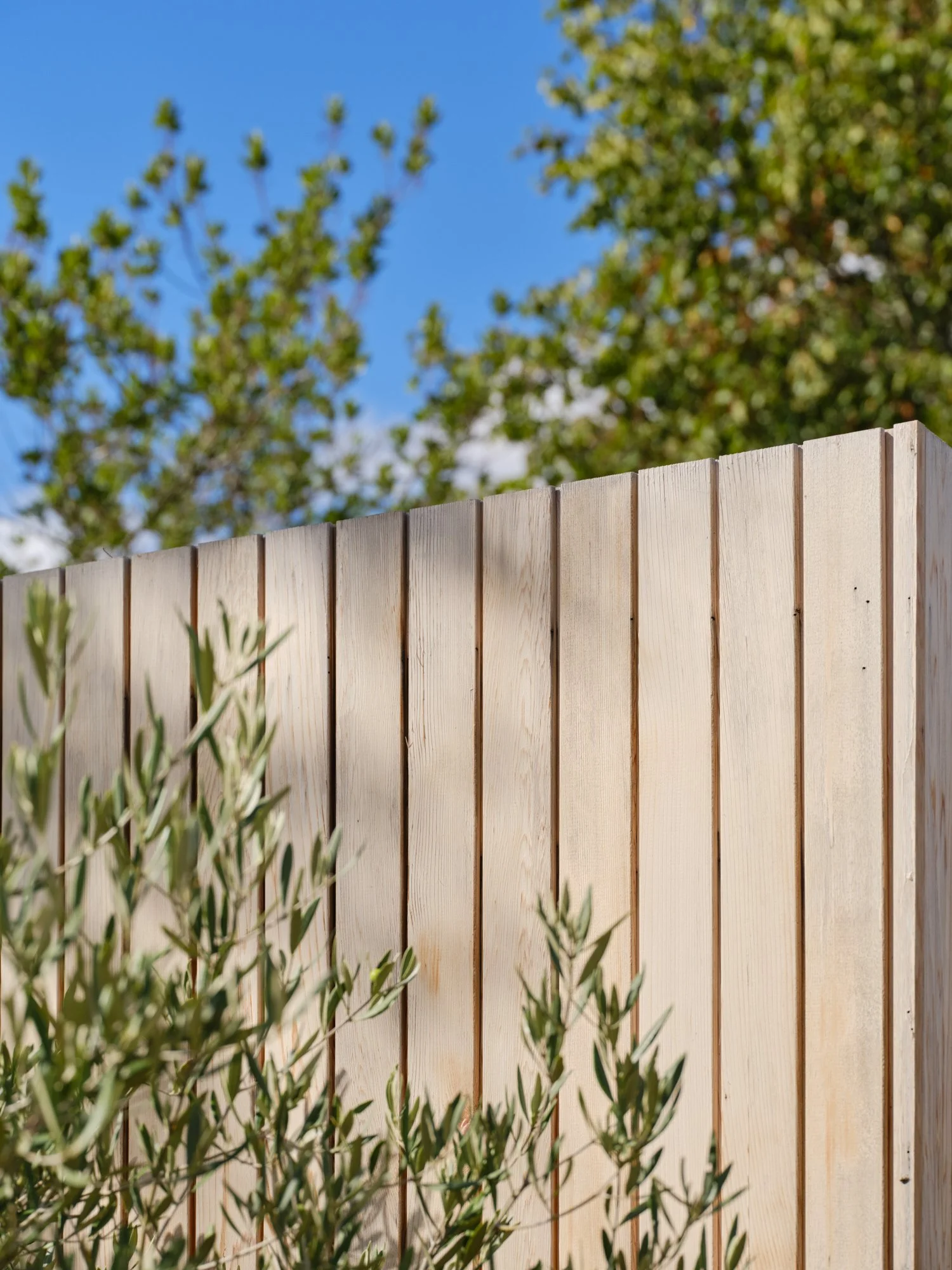 Cedar cladding detail on the garden studio, Cromwell Road, Teddington