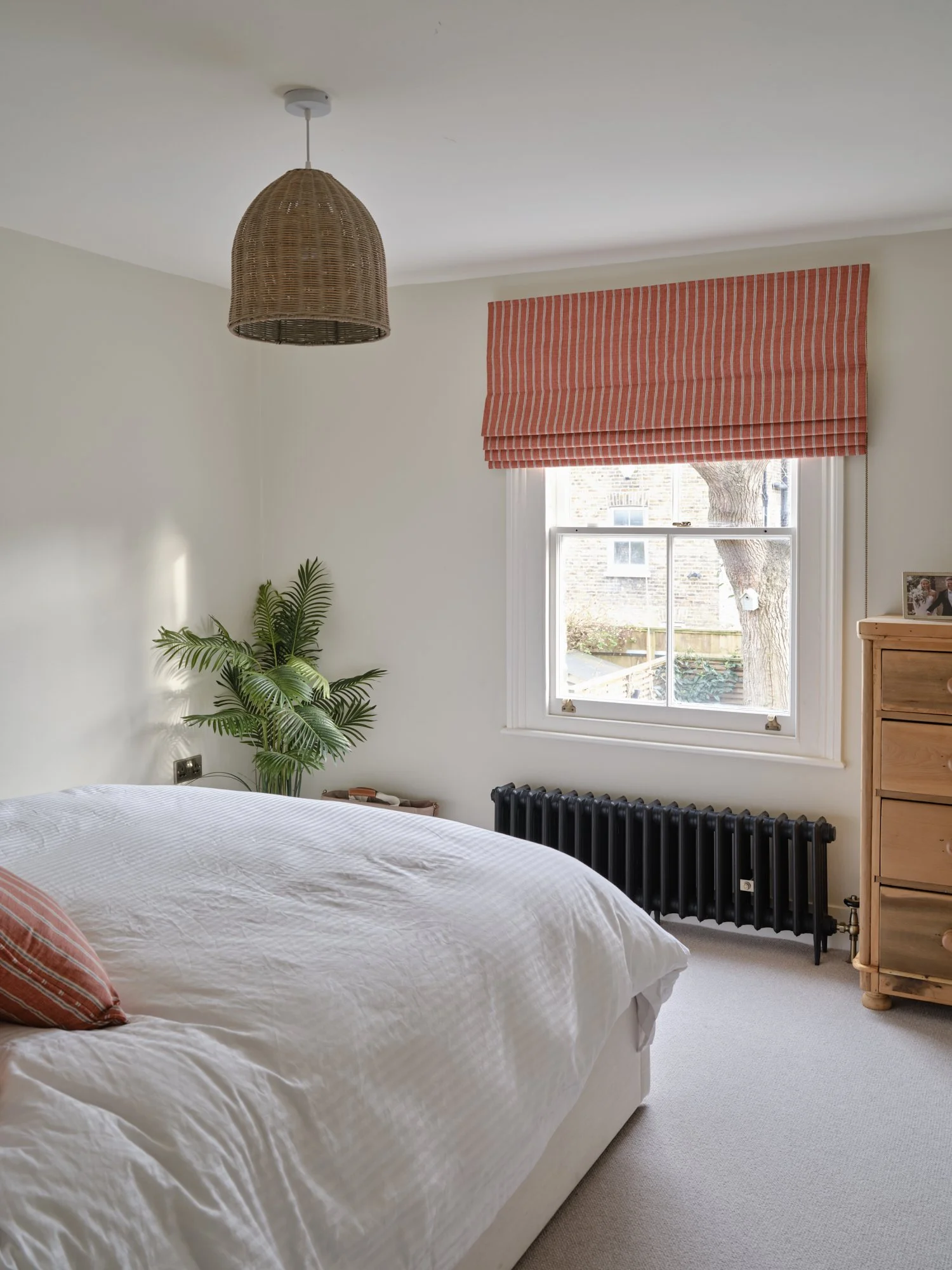 CK Design - SW120153.jpg