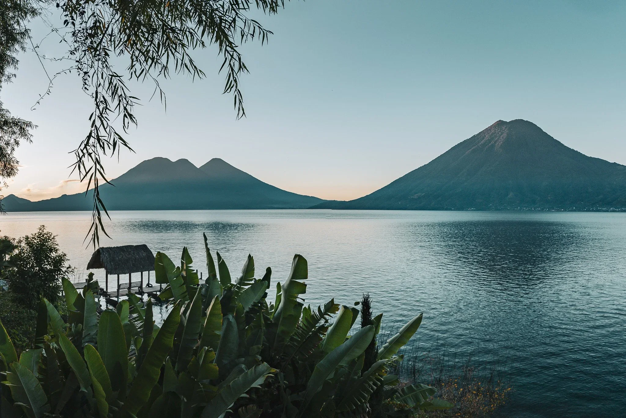 Rooted Living: A Holistic Yoga & Wellness Retreat with Sam Wiesner