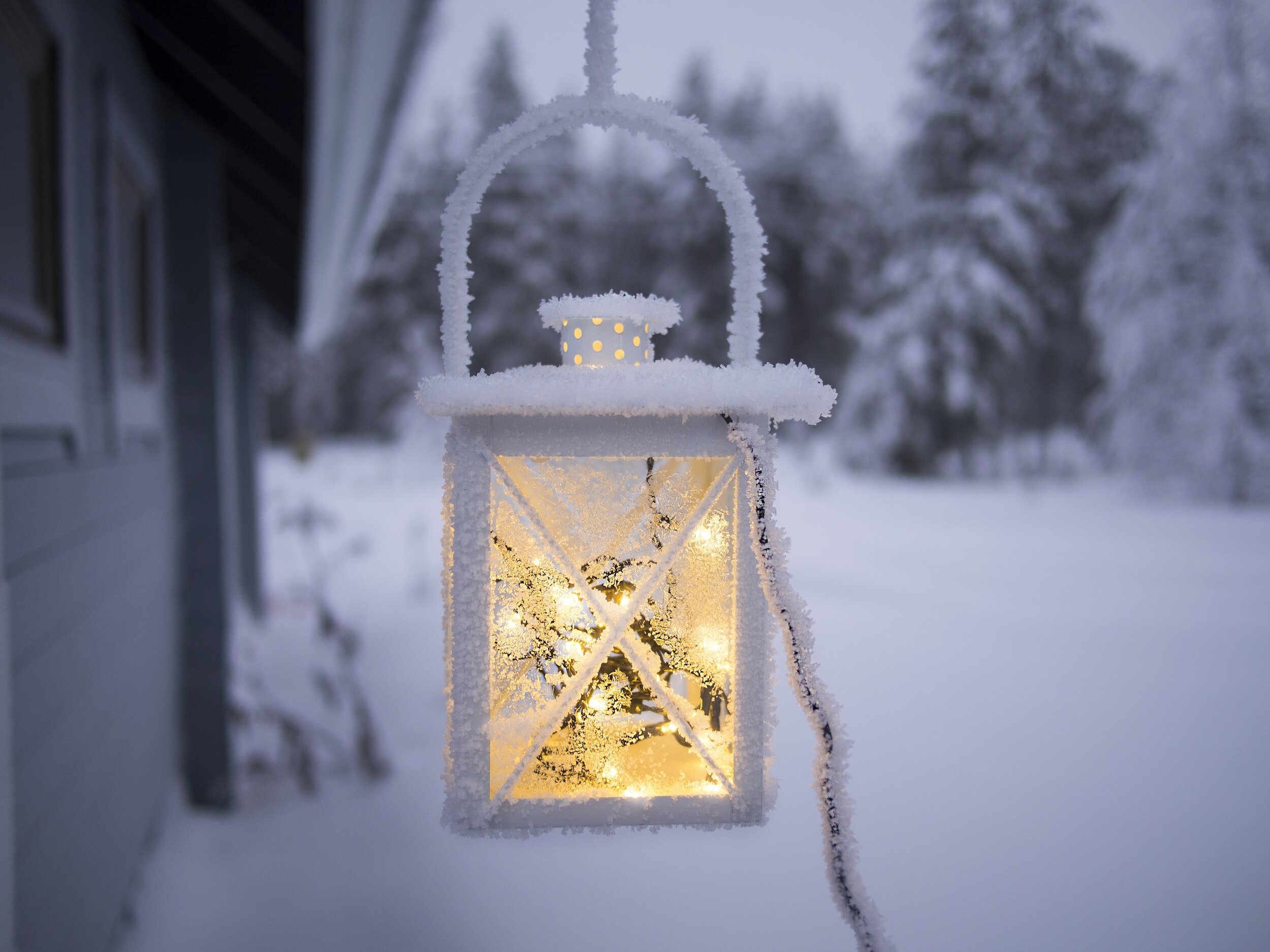 Winter Break - School CLOSED